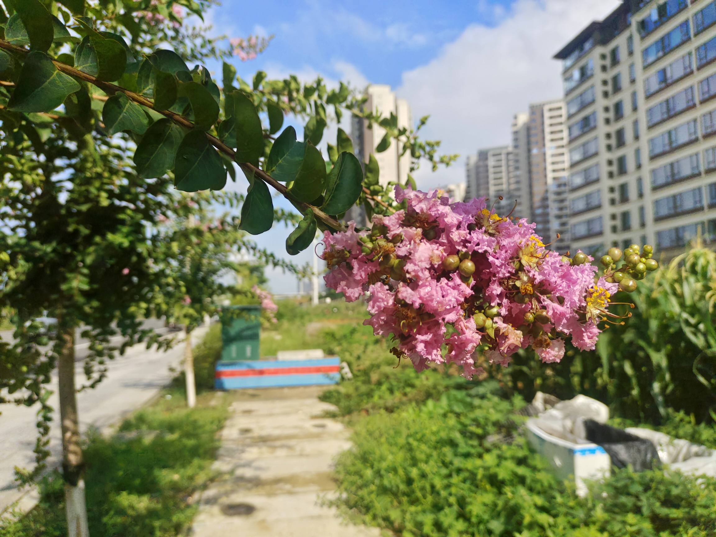 图片附件