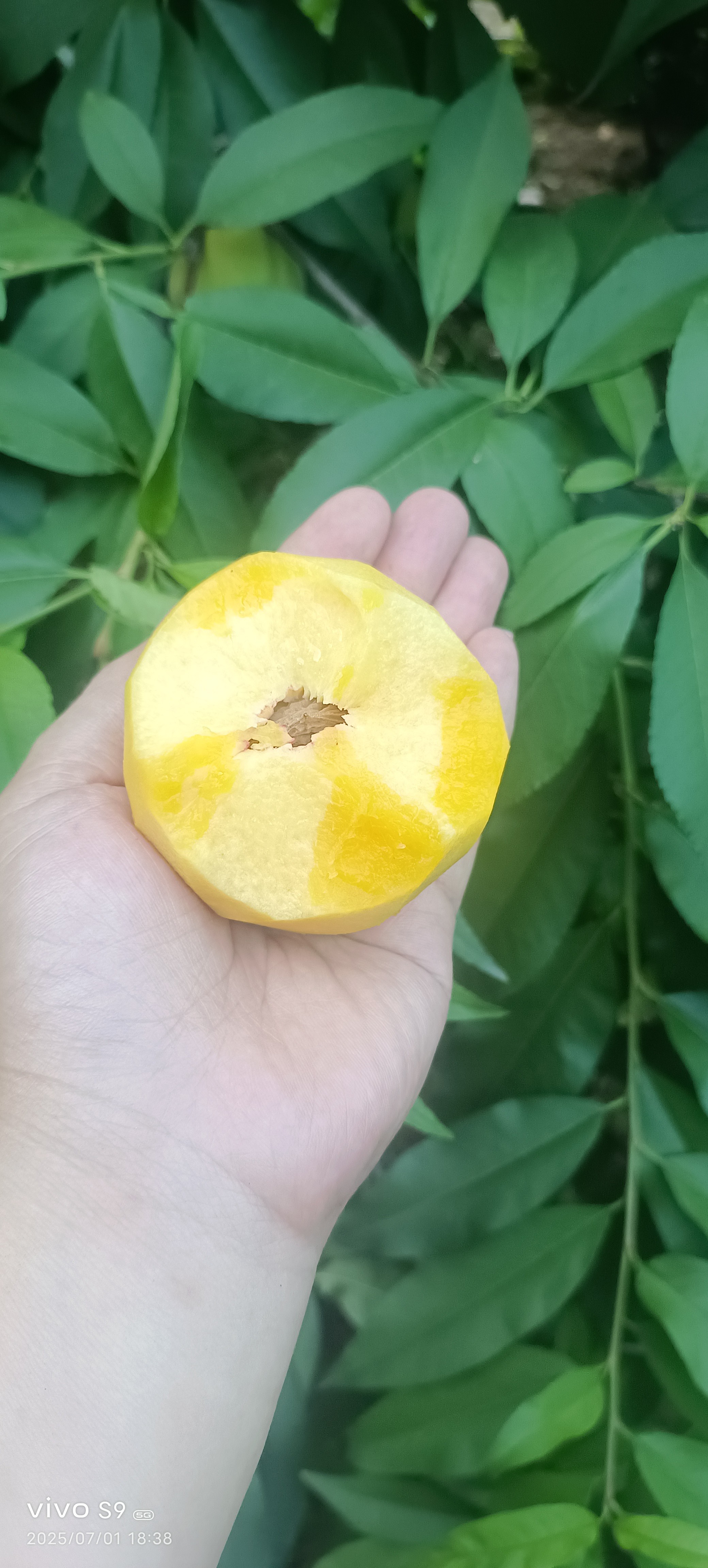 图片附件