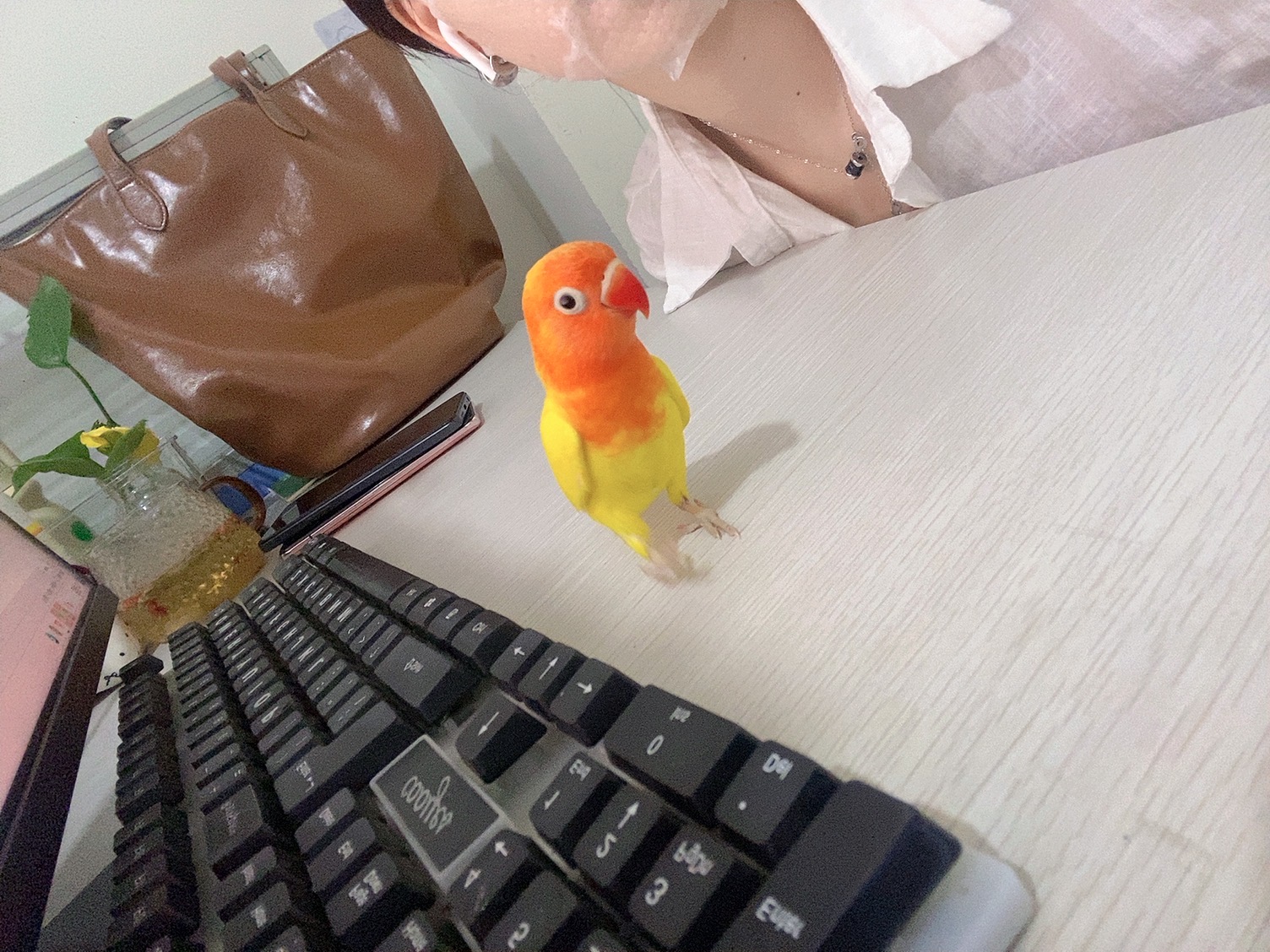 图片附件