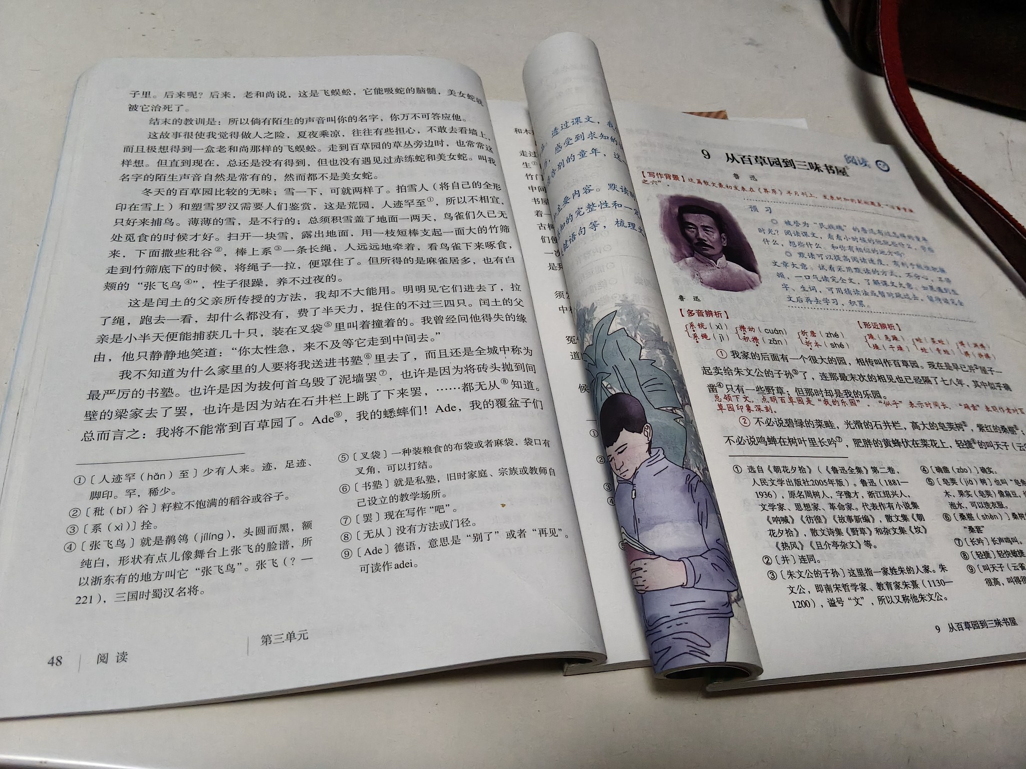 图片附件