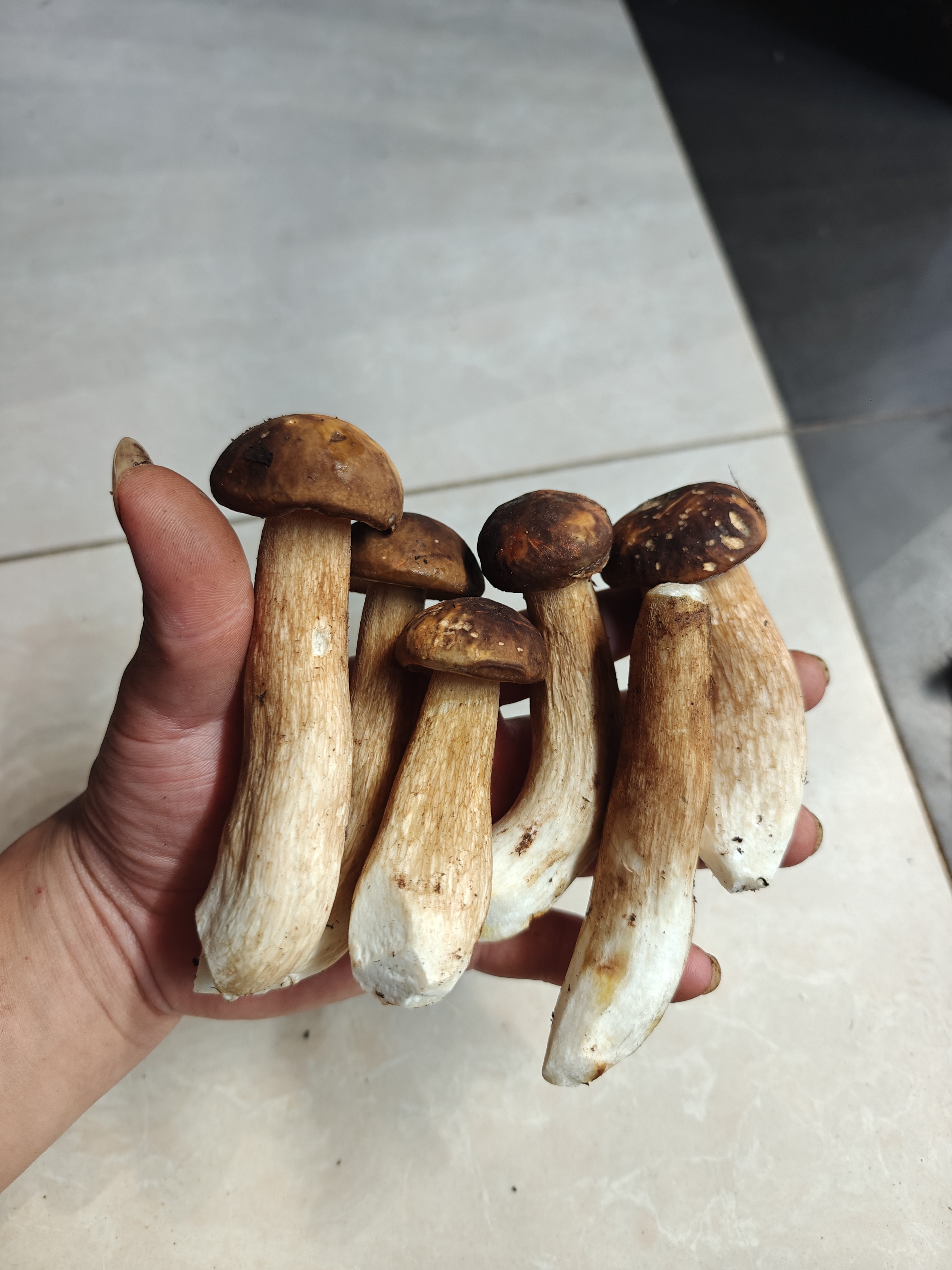 图片附件