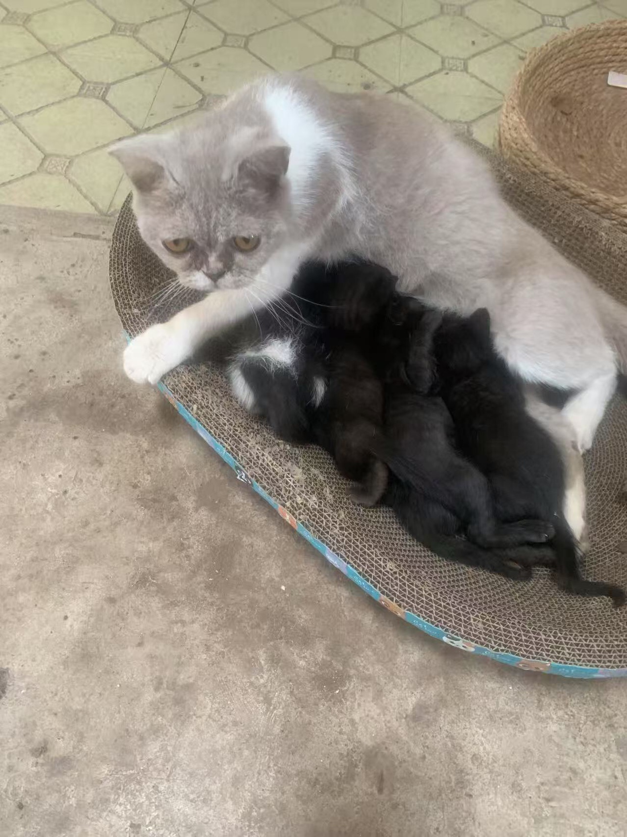 图片附件