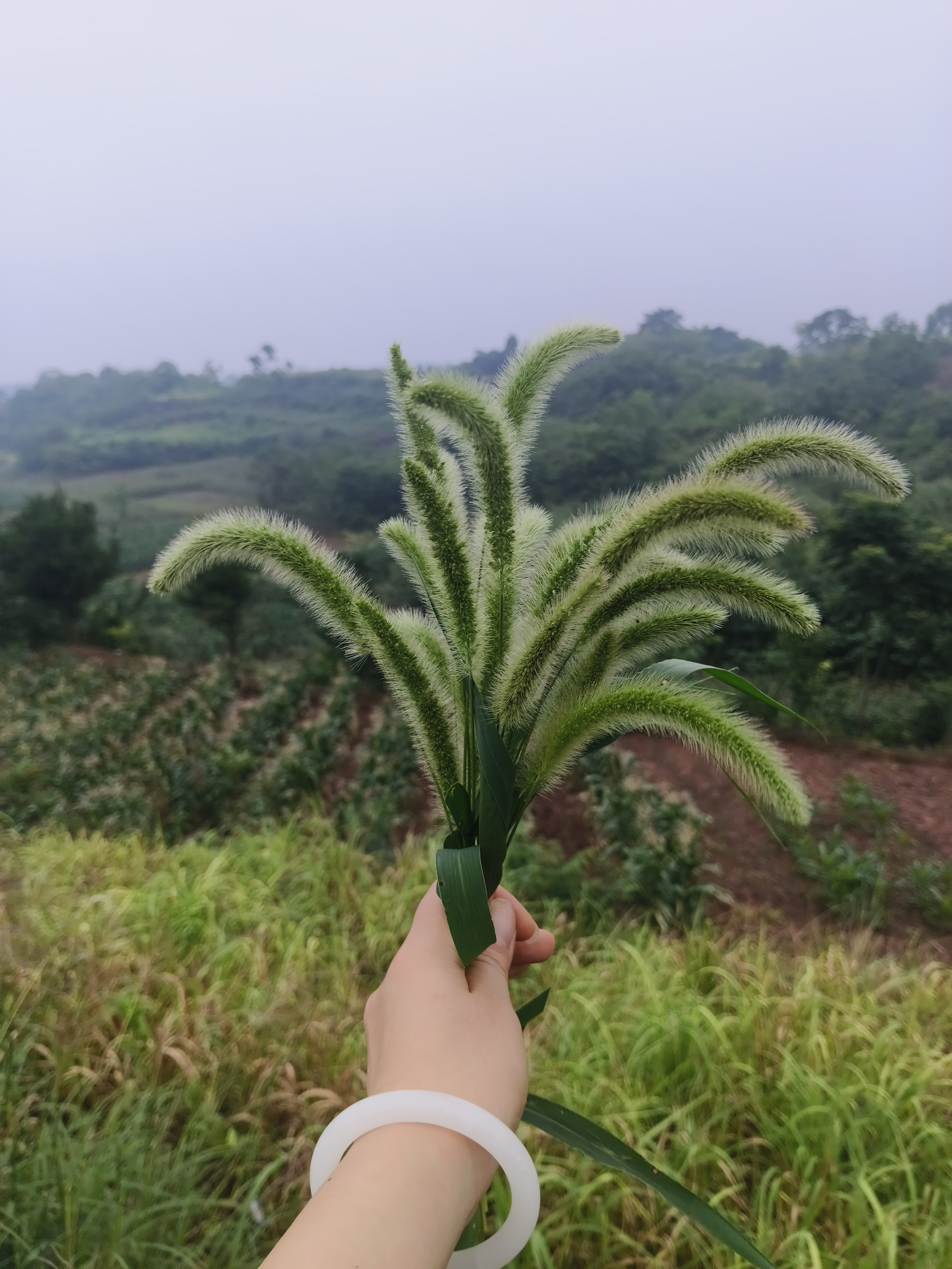 图片附件