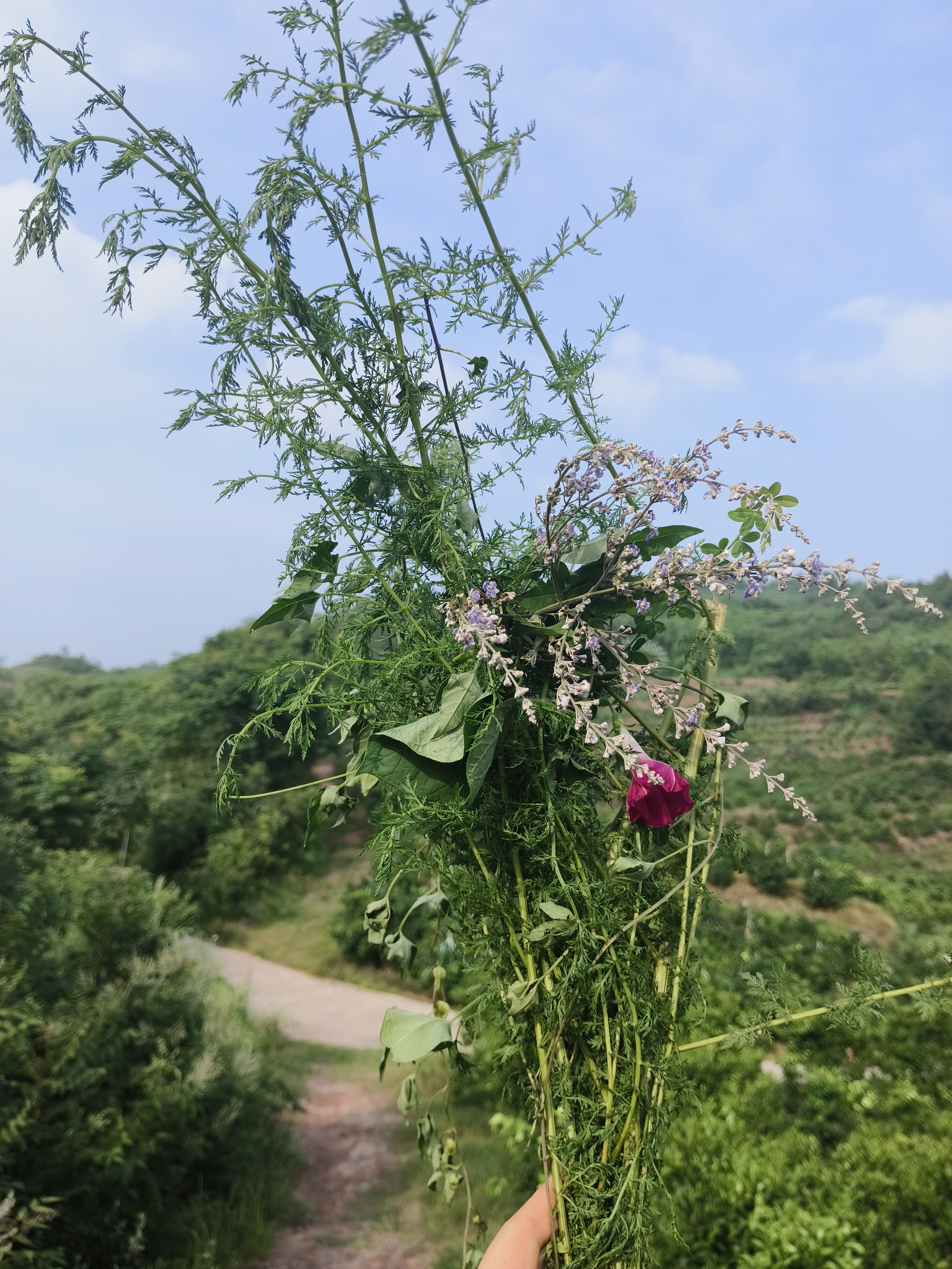 图片附件