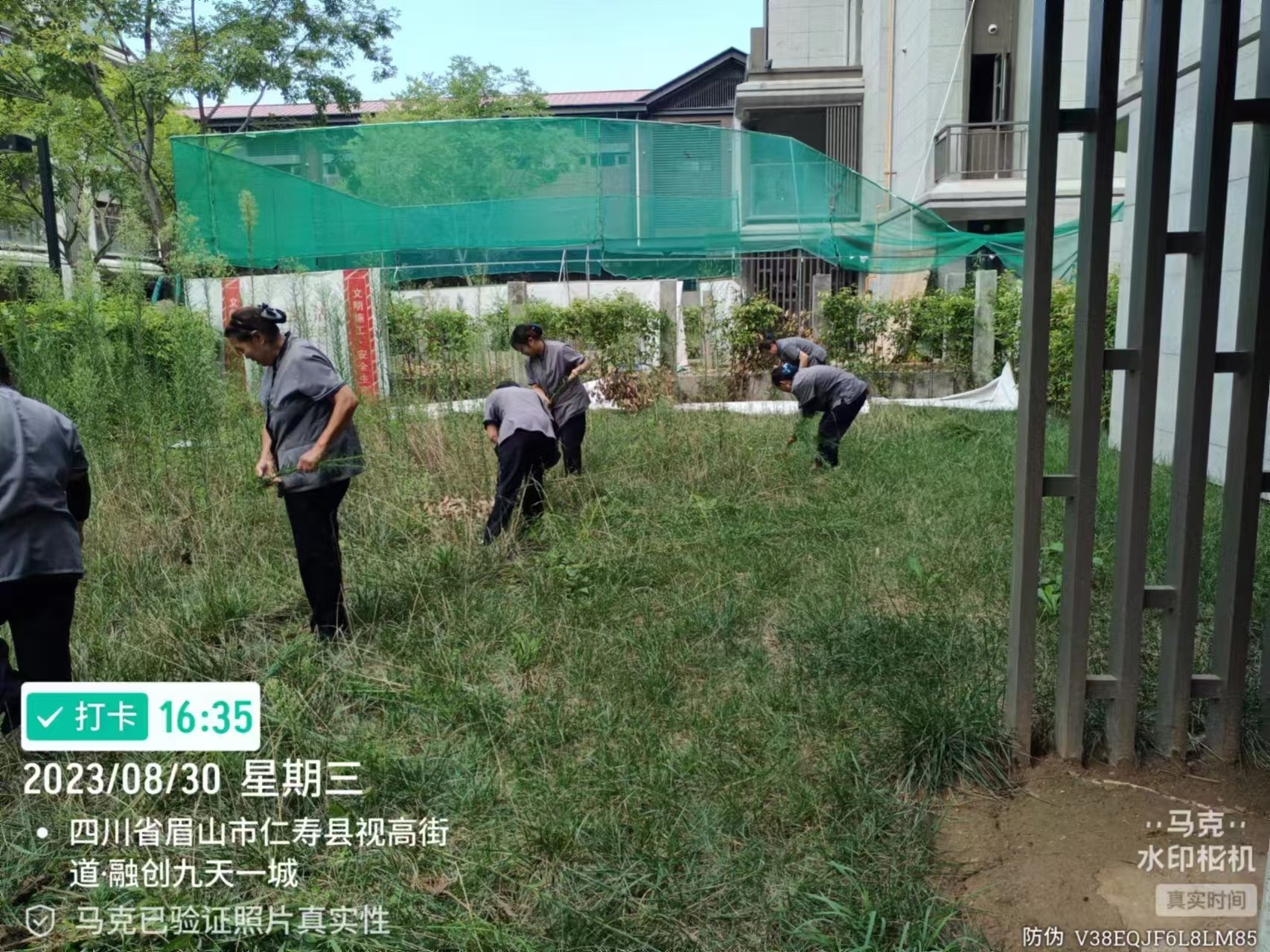 图片附件