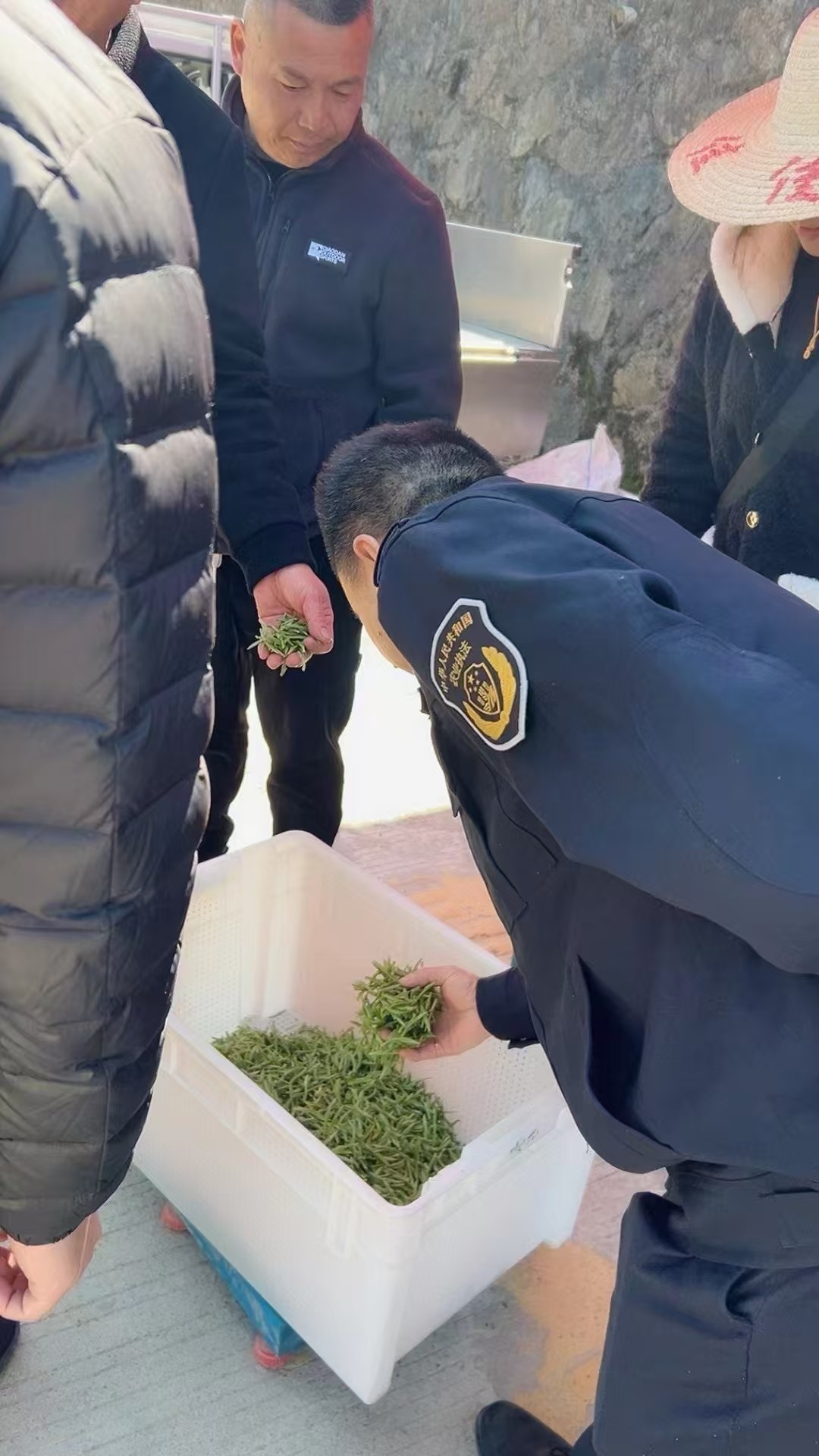 图片附件
