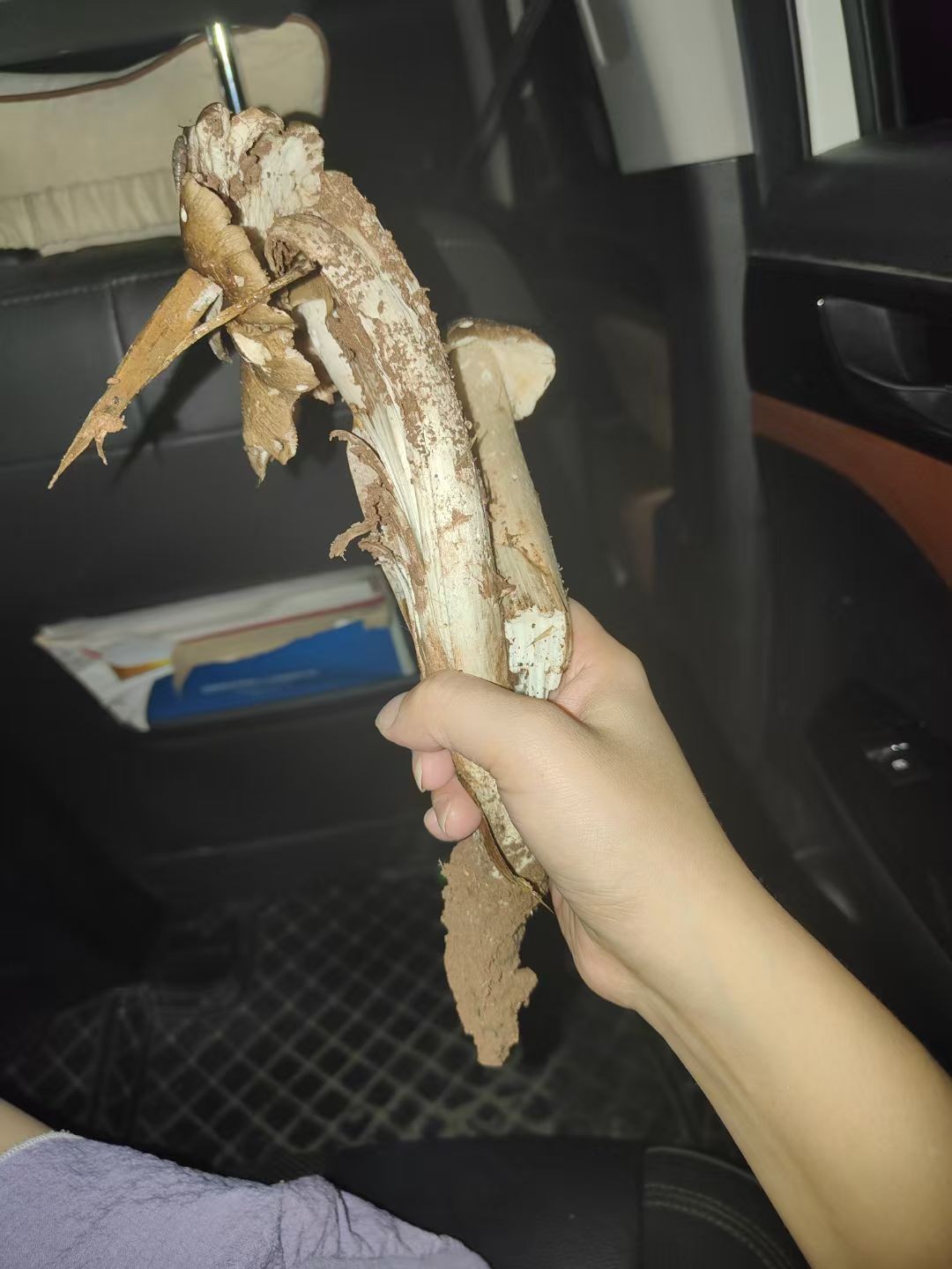 图片附件