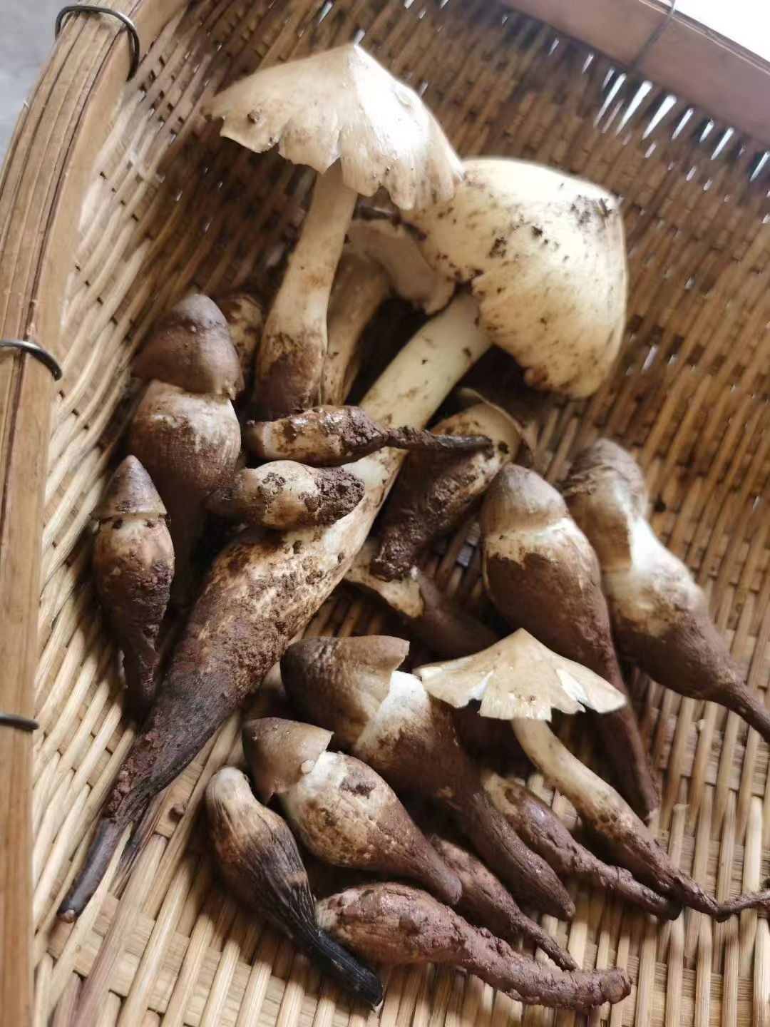 图片附件