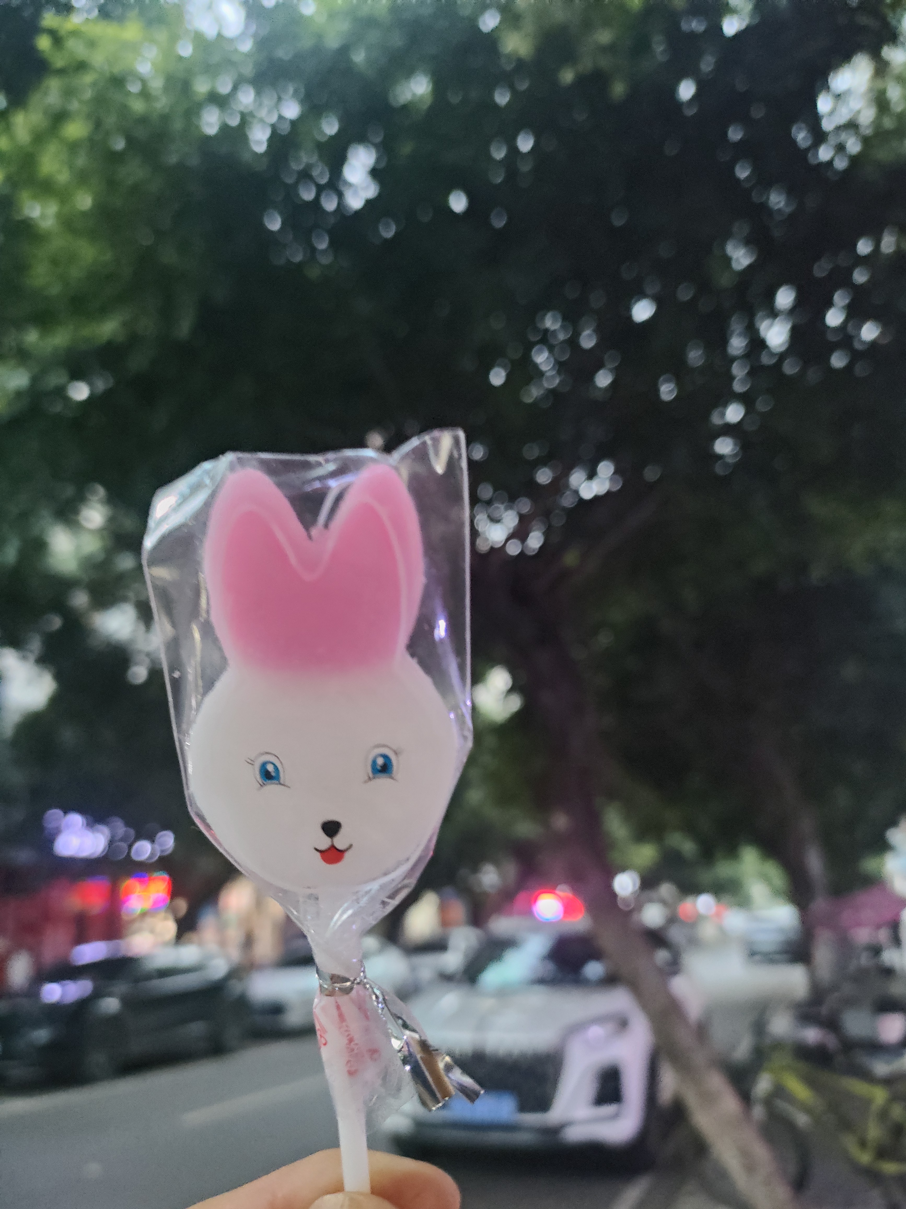 图片附件