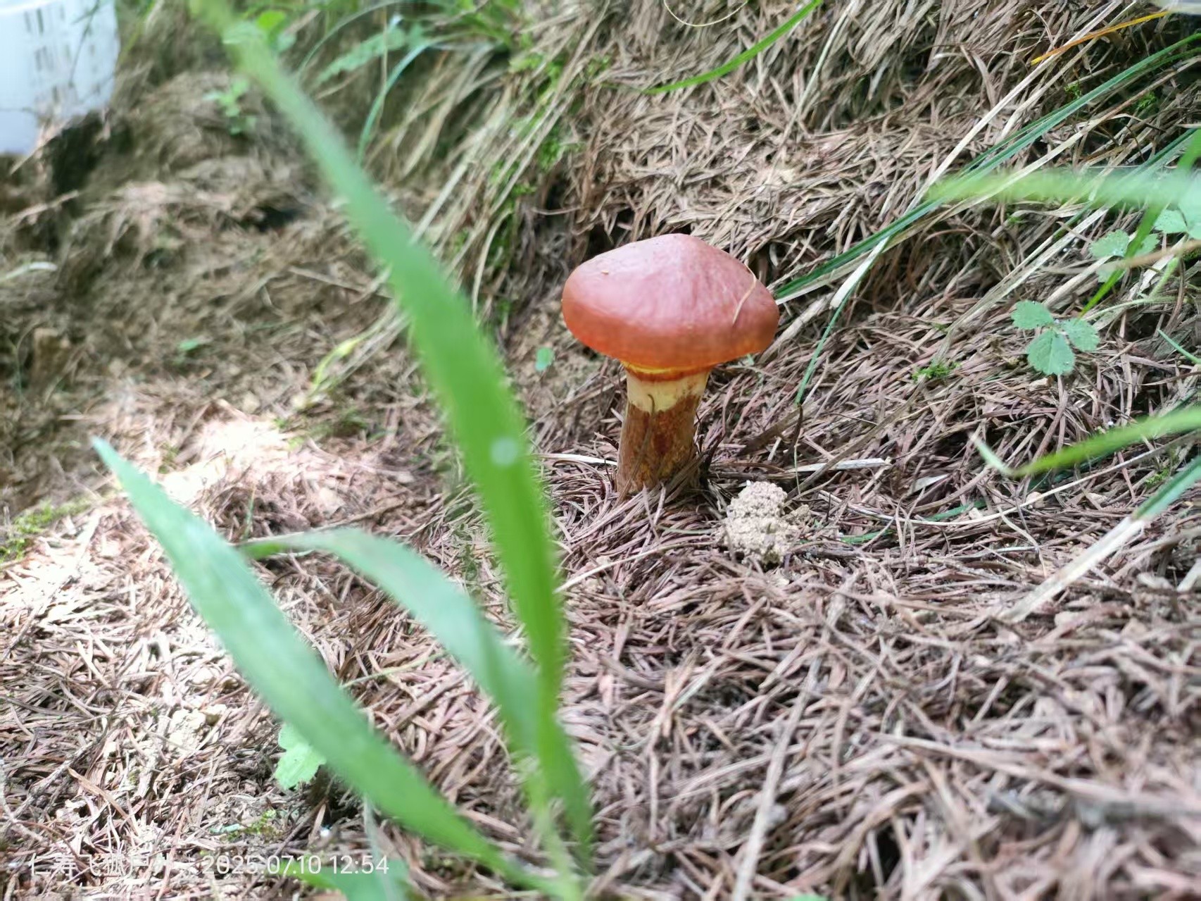 图片附件