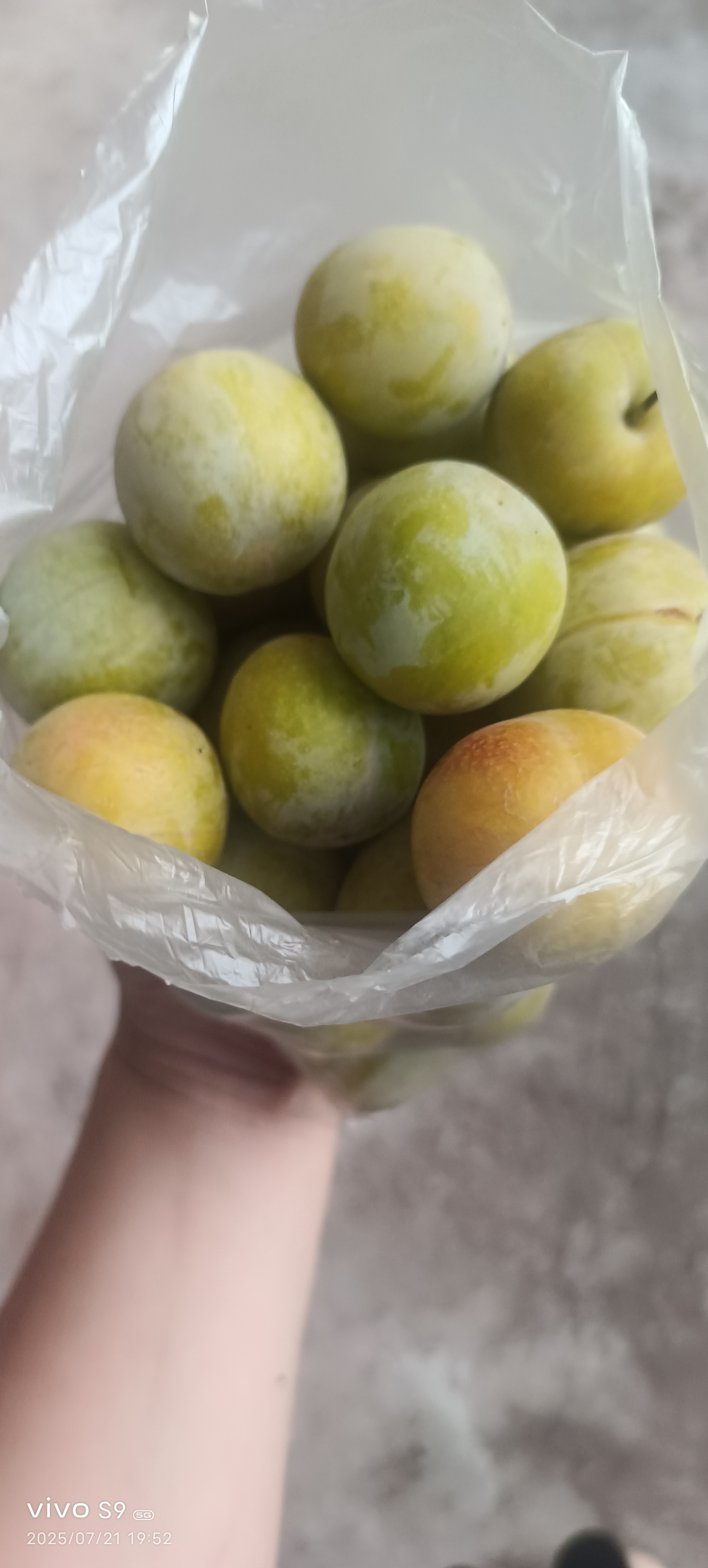 图片附件