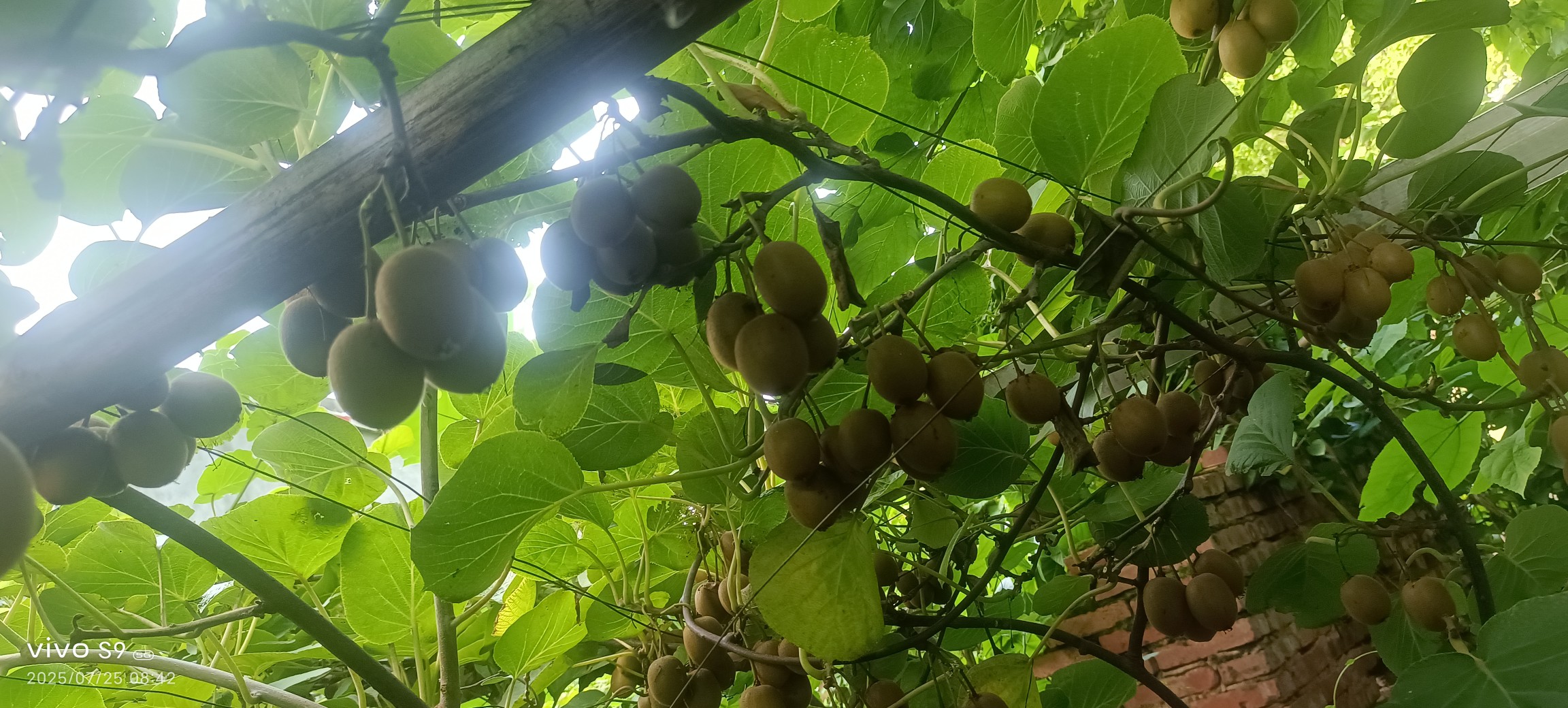 图片附件