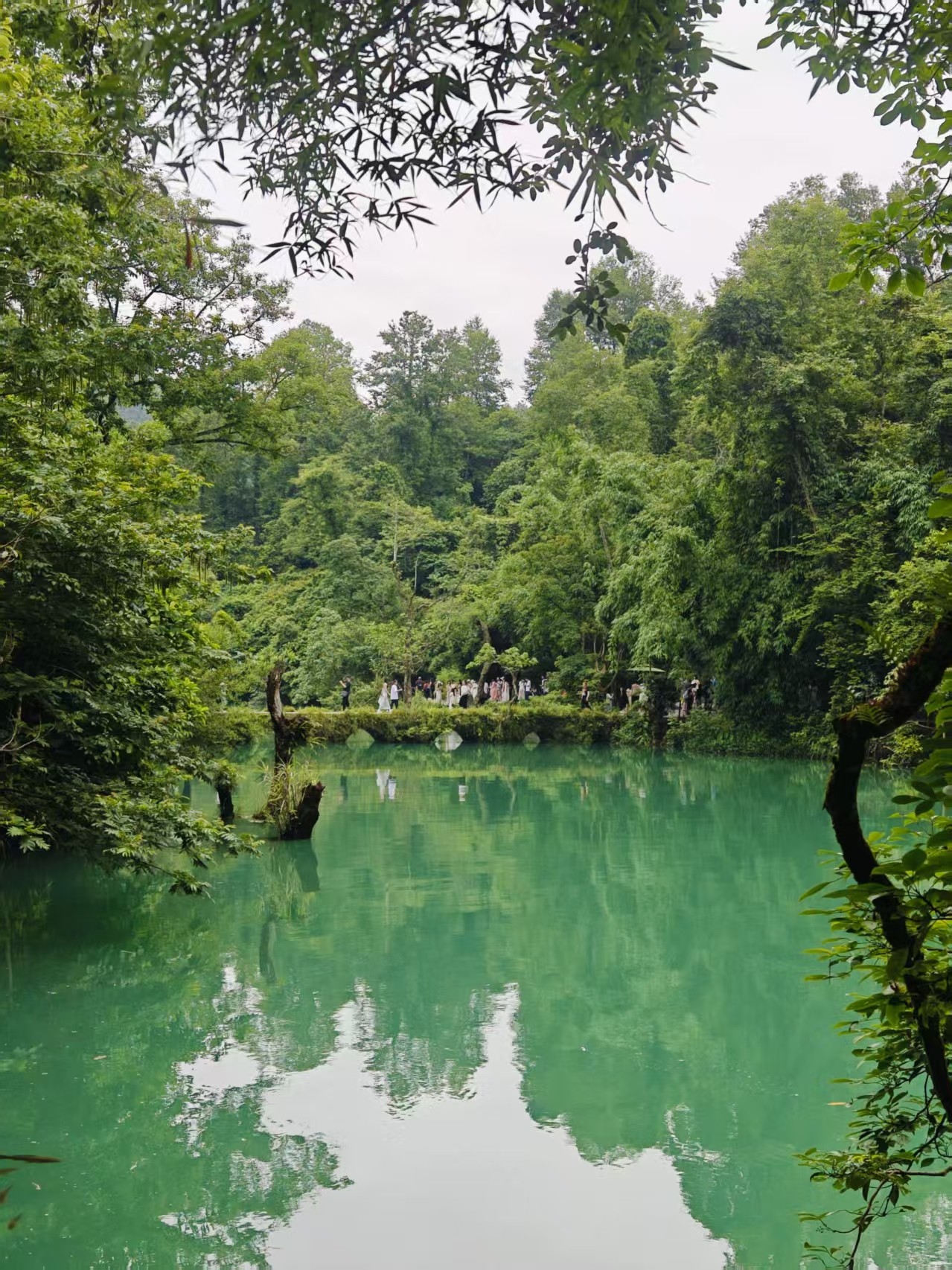 图片附件