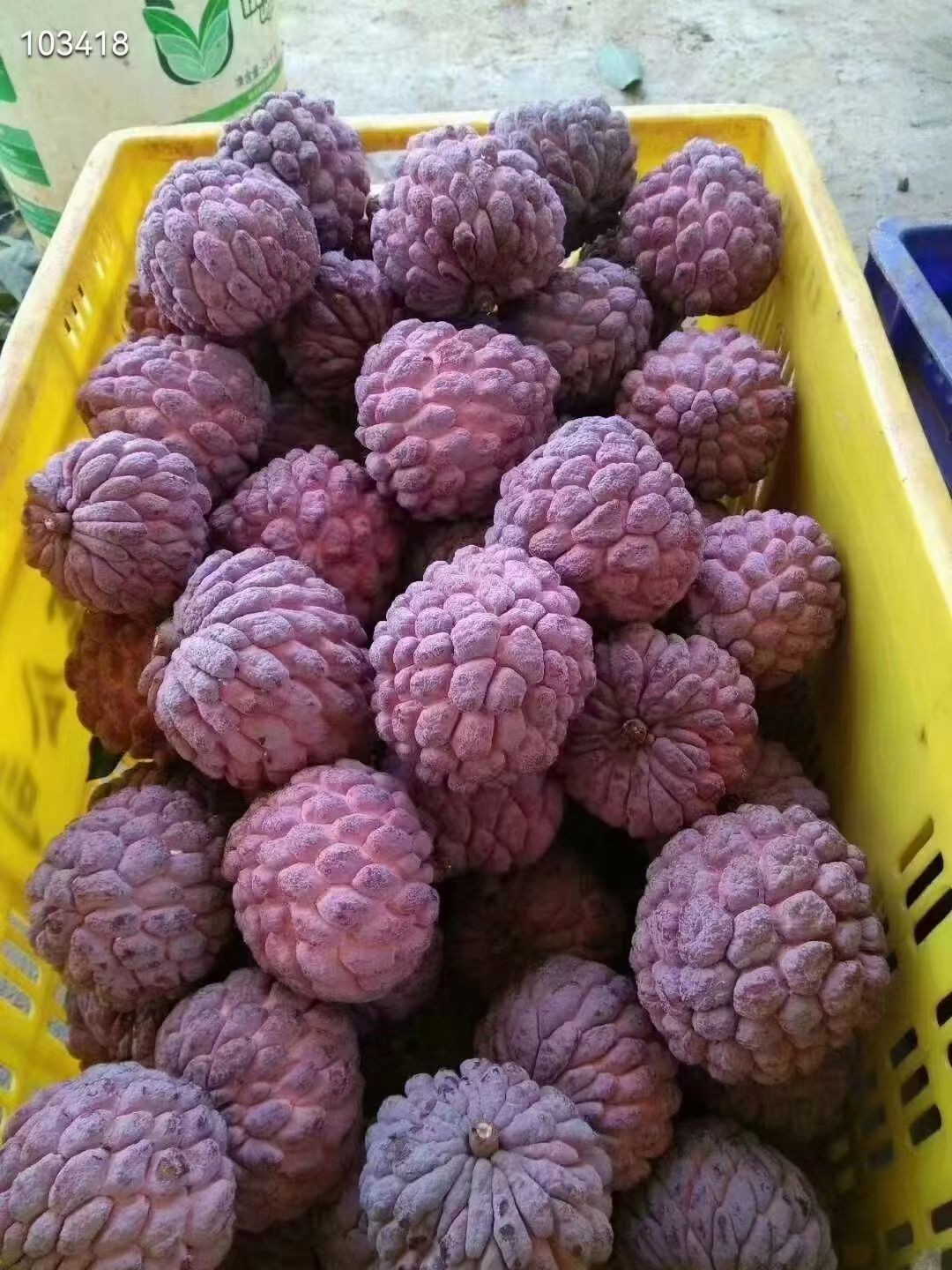 图片附件