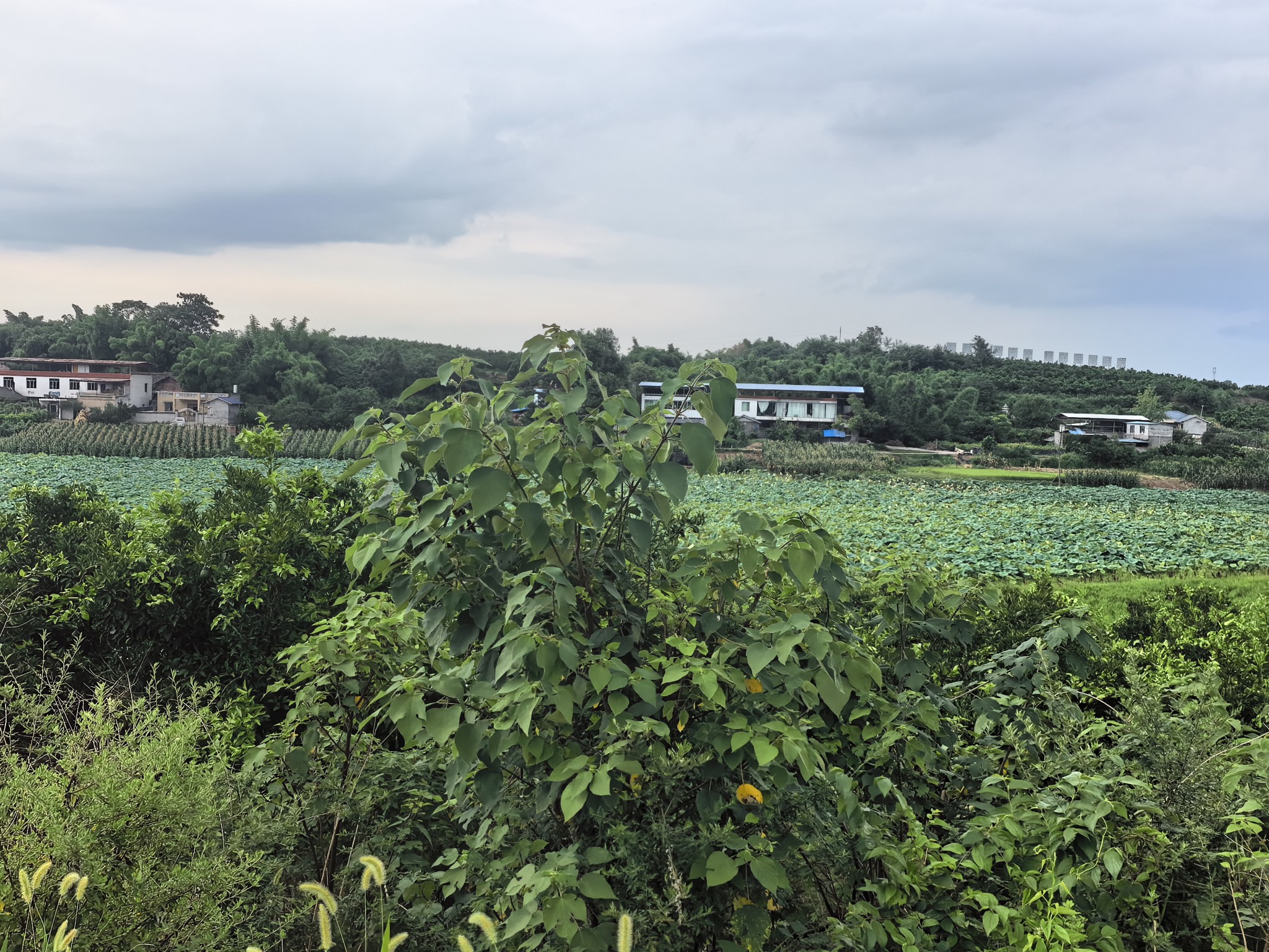 图片附件