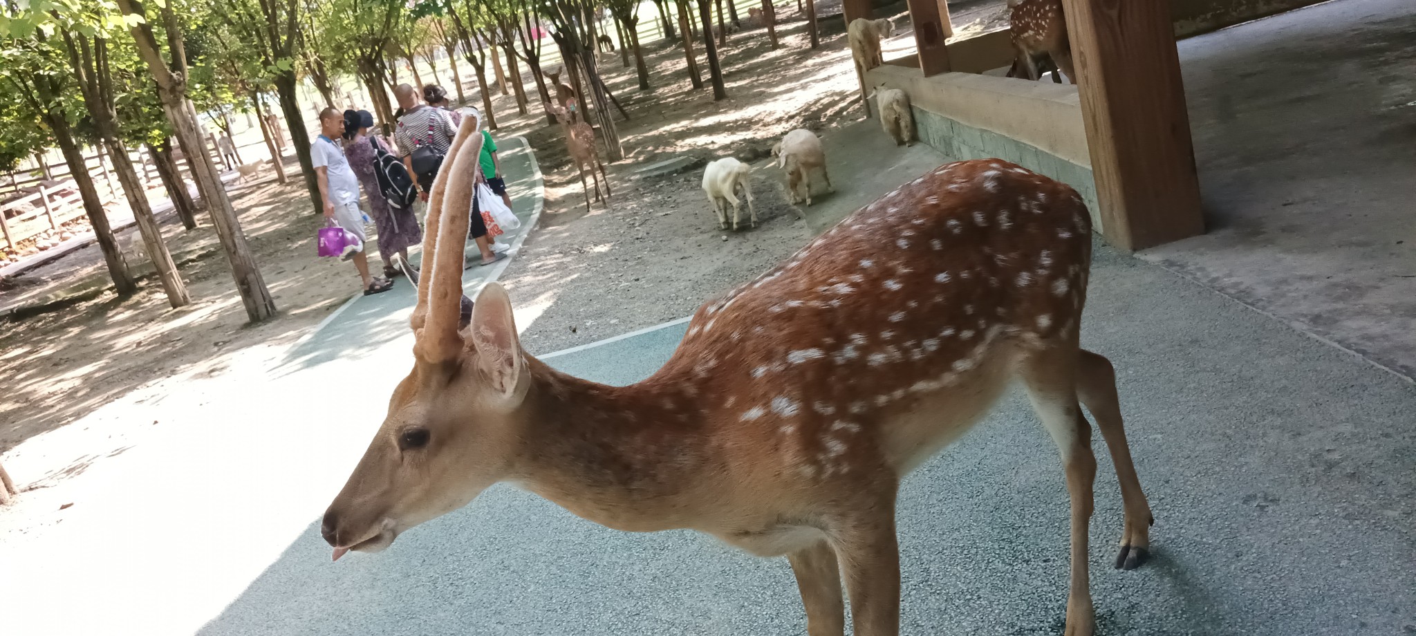 图片附件
