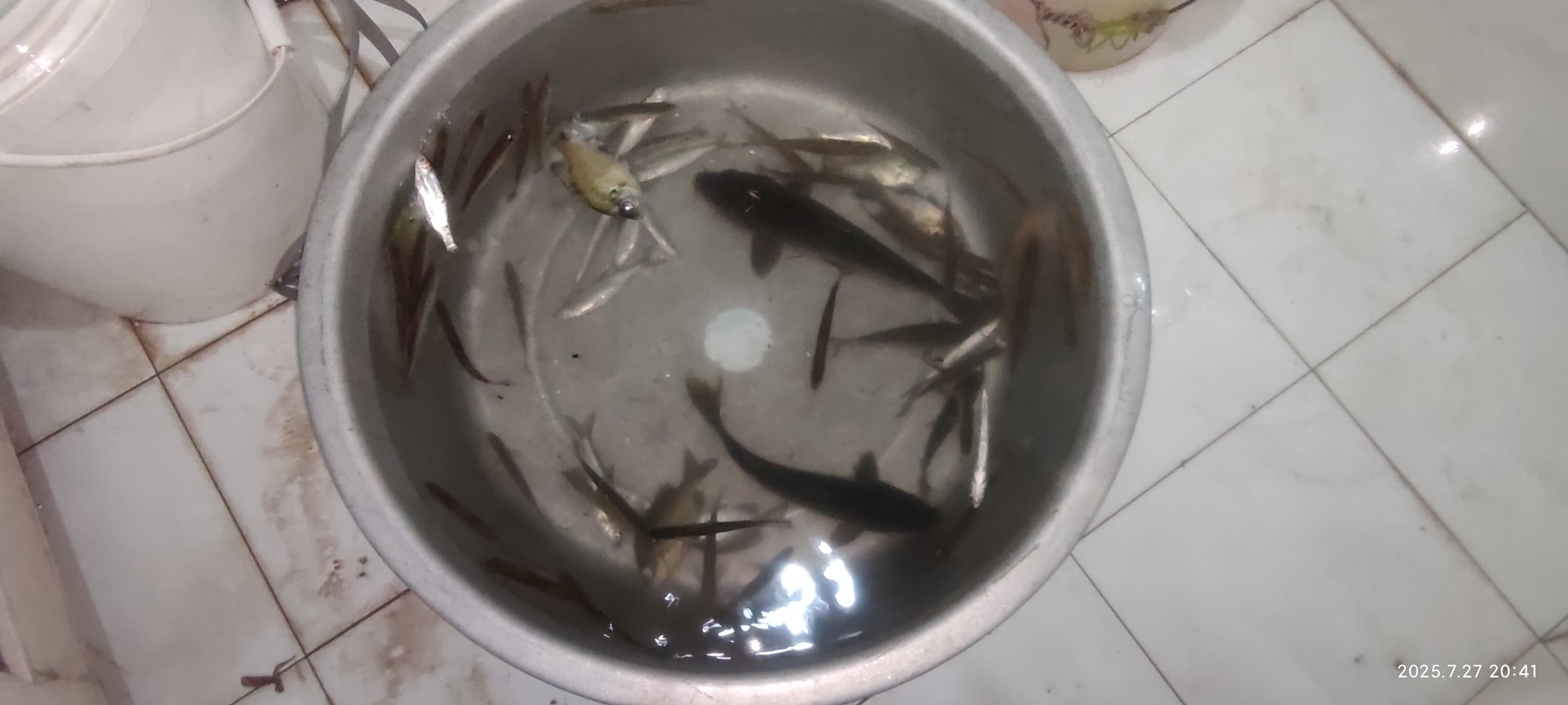 图片附件