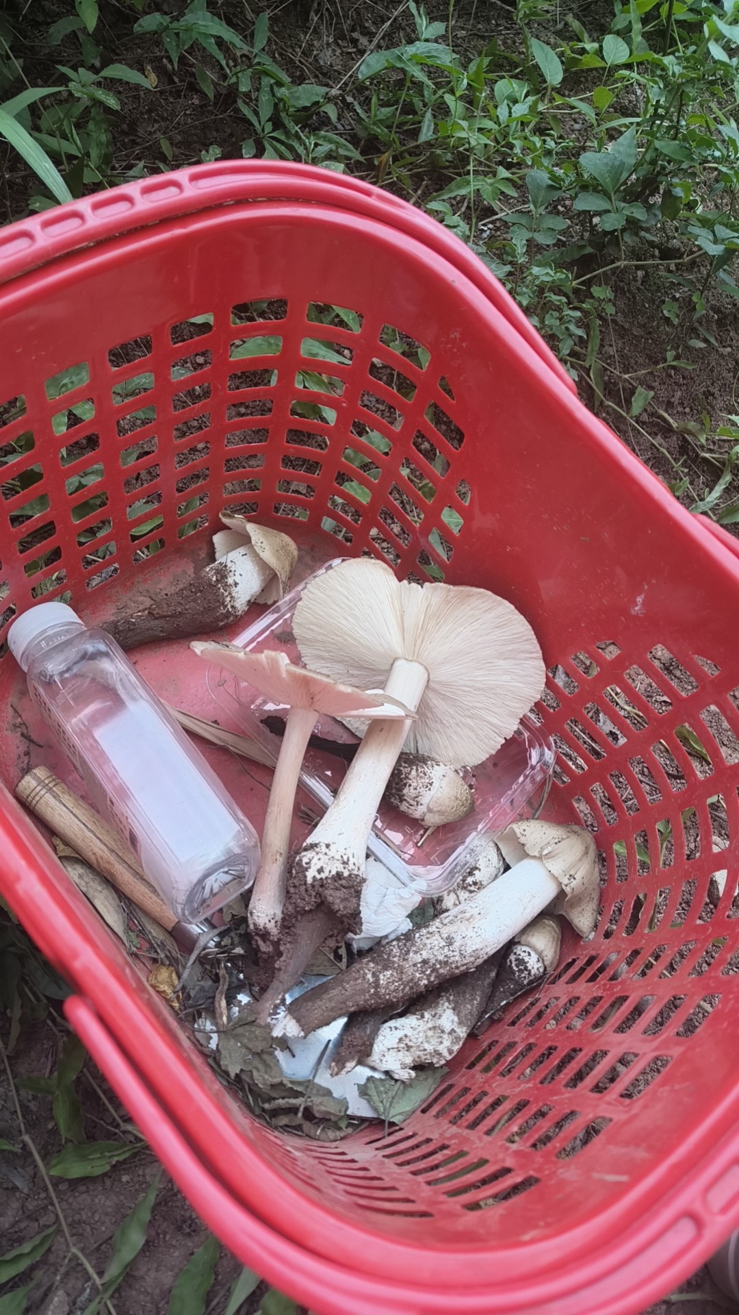 图片附件