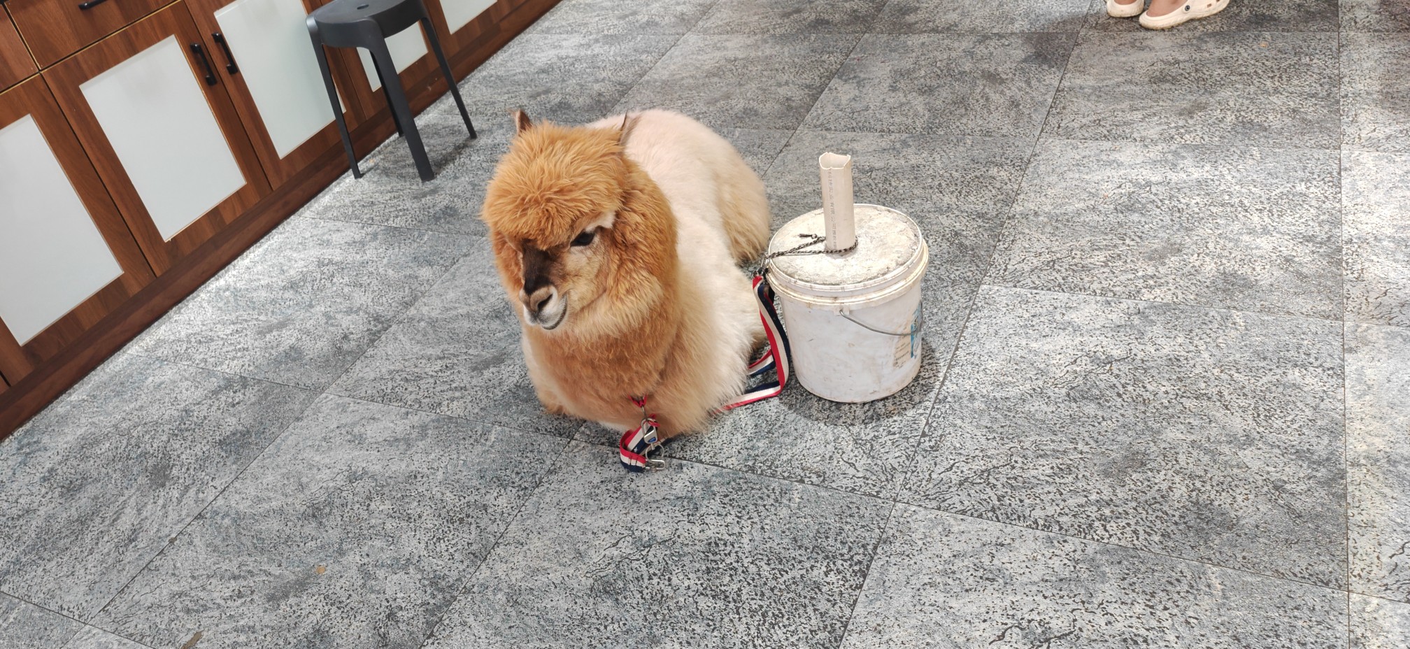 图片附件