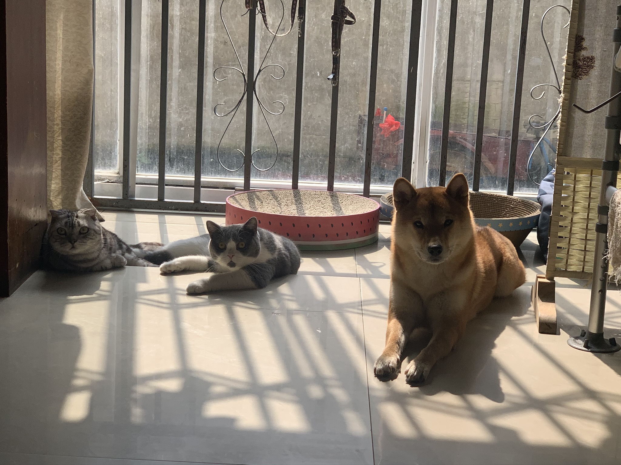 图片附件