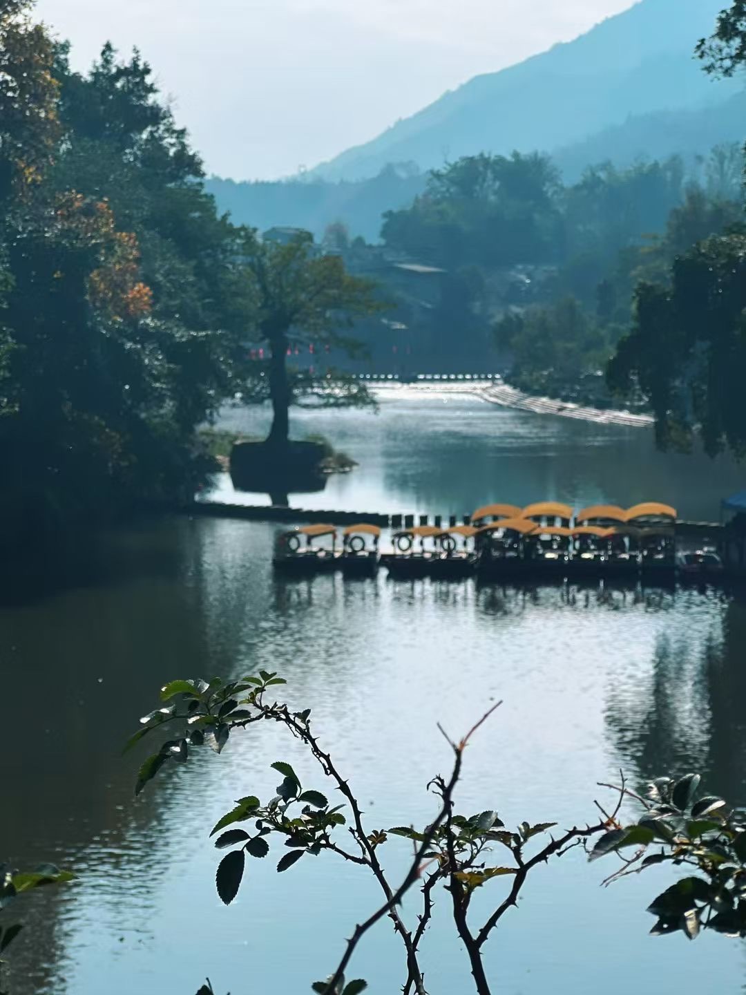 图片附件