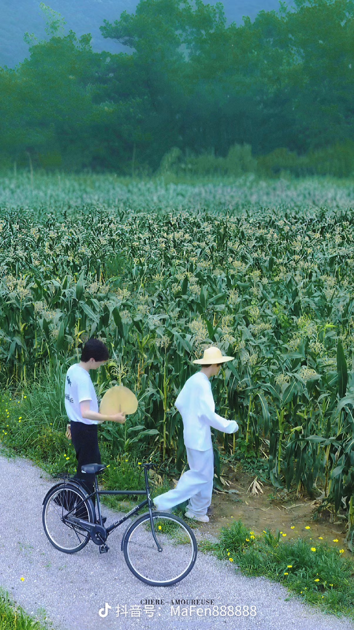 图片附件