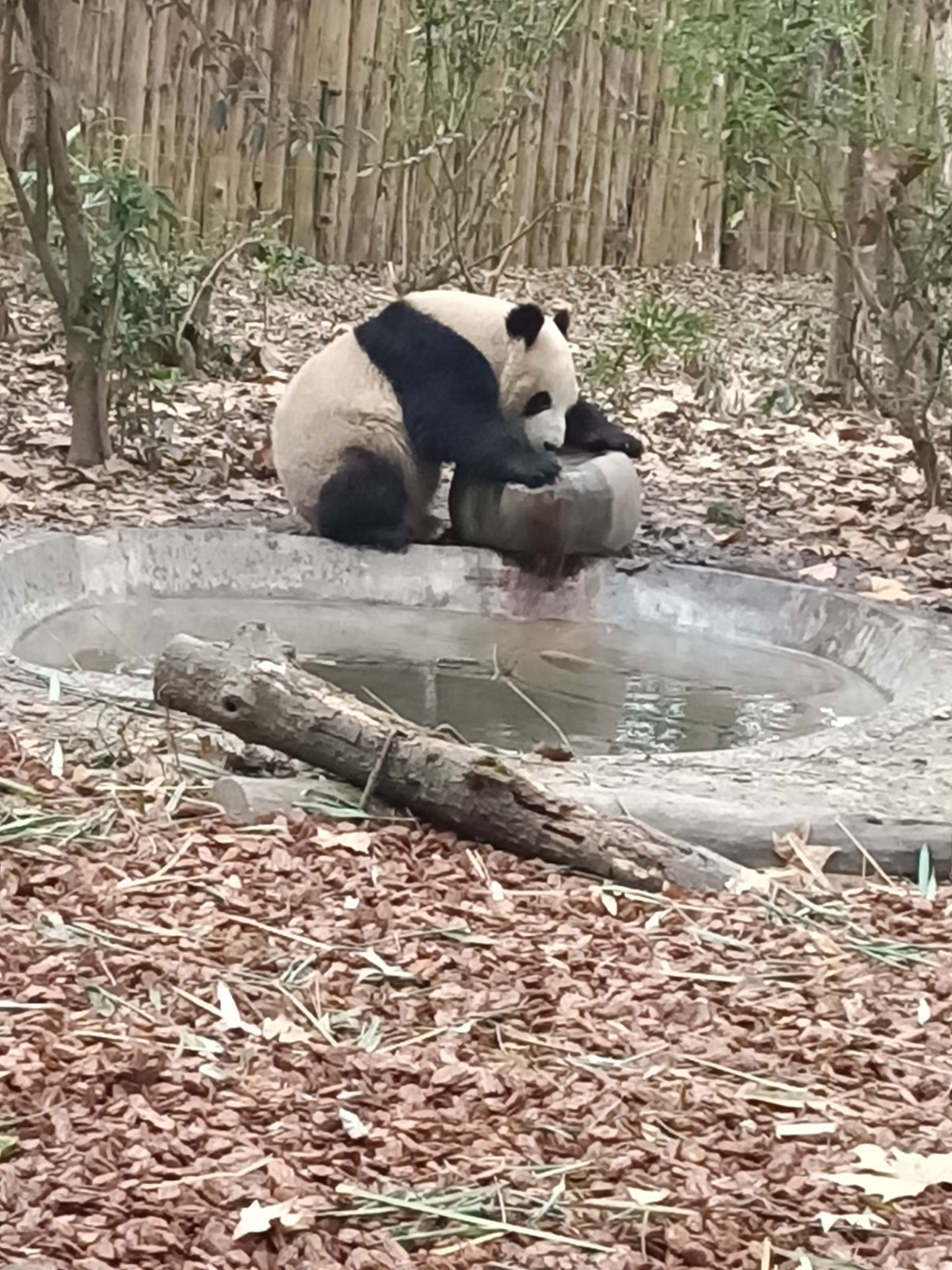 图片附件