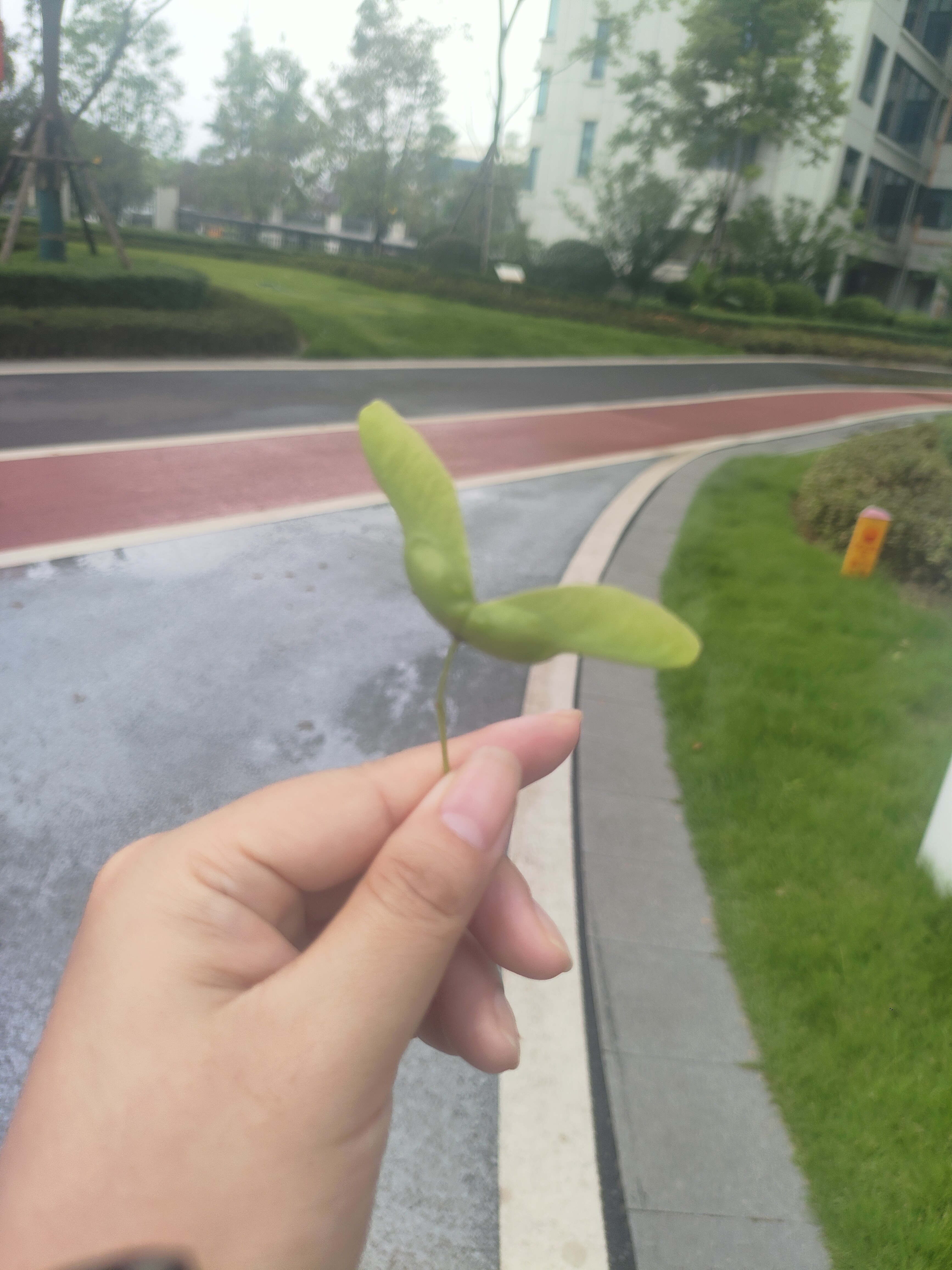 图片附件