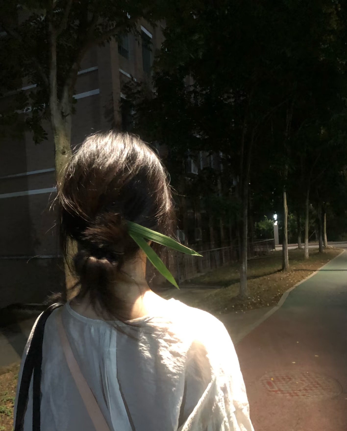 图片附件