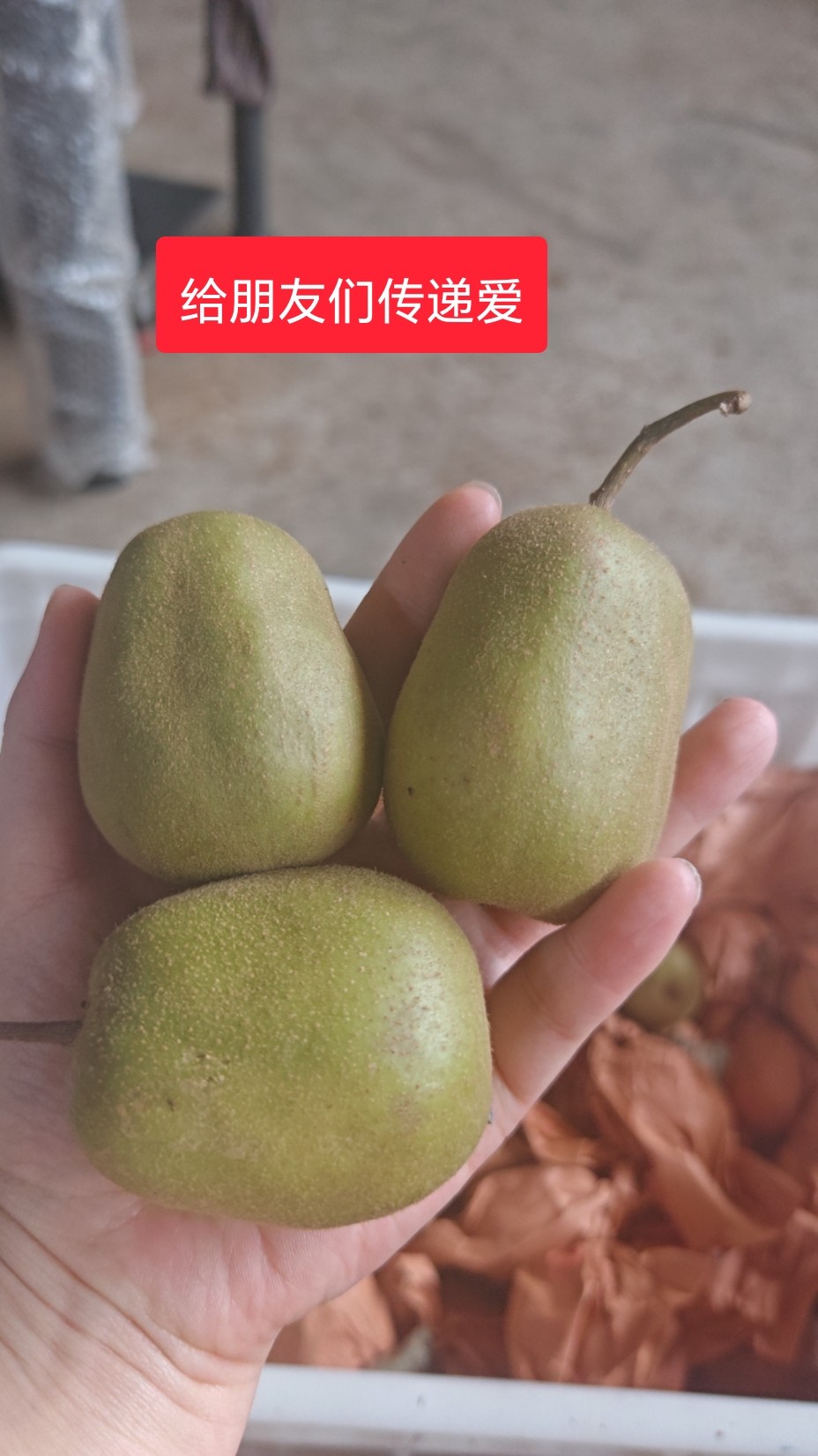 图片附件