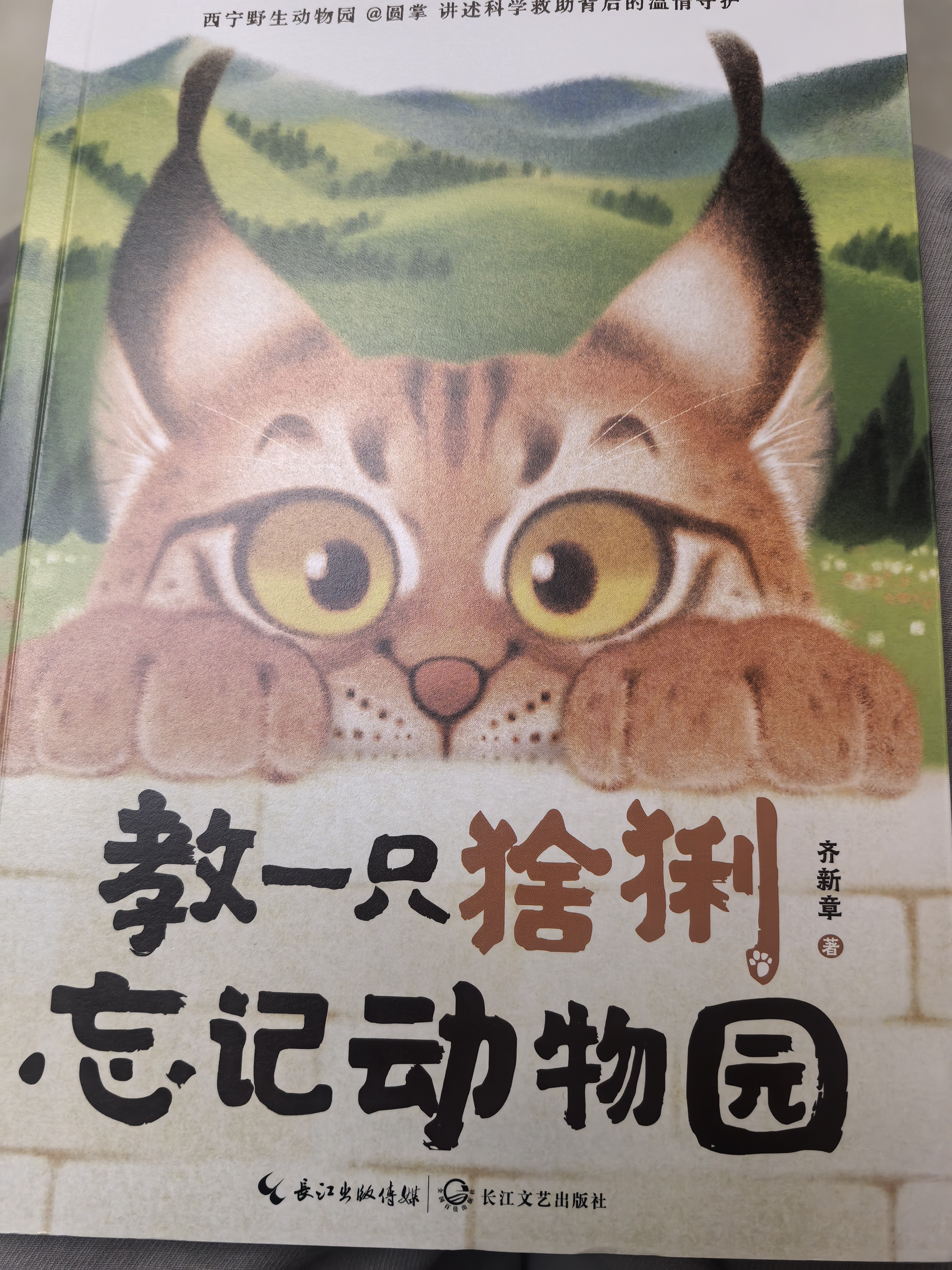 图片附件