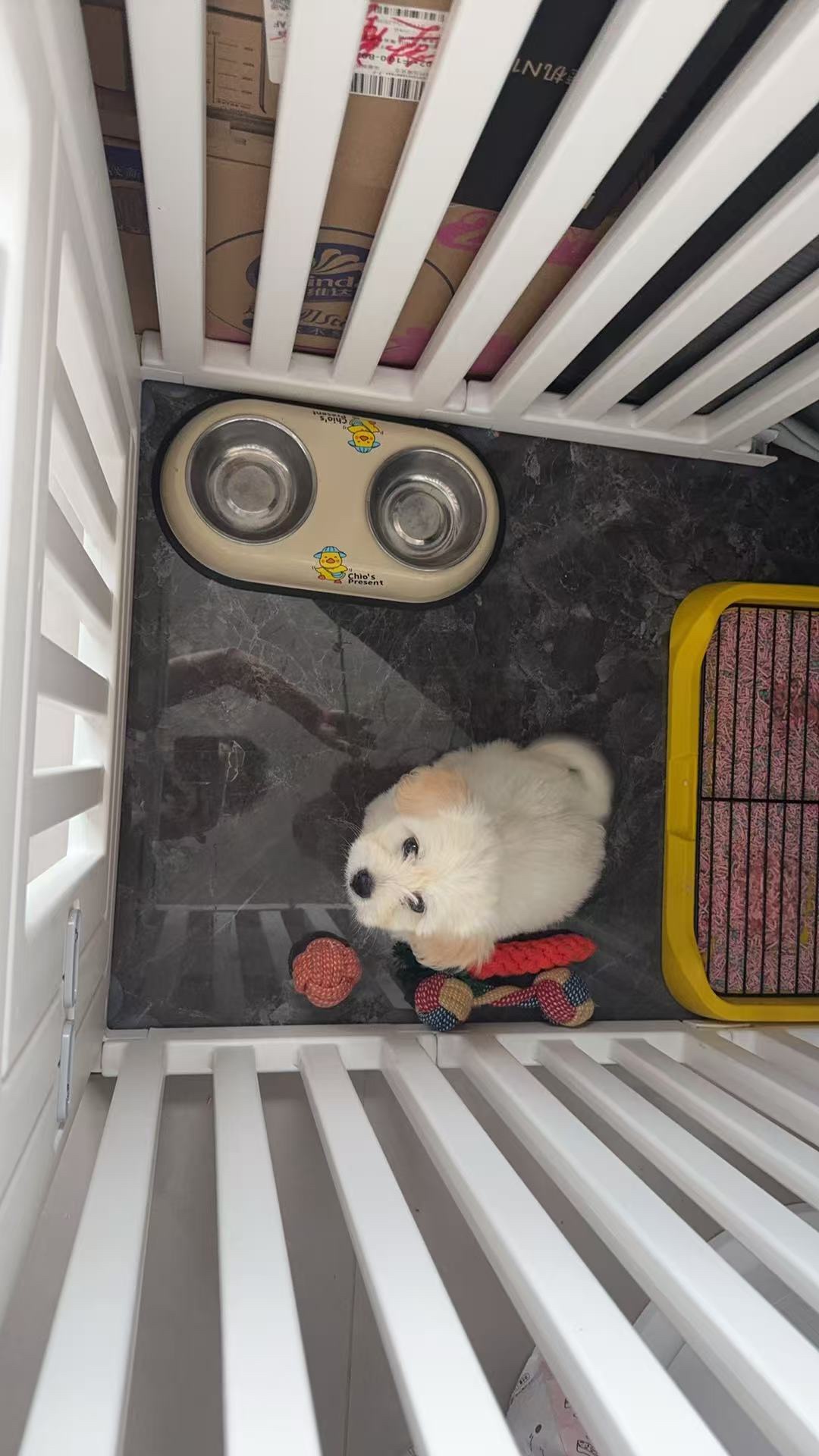 图片附件