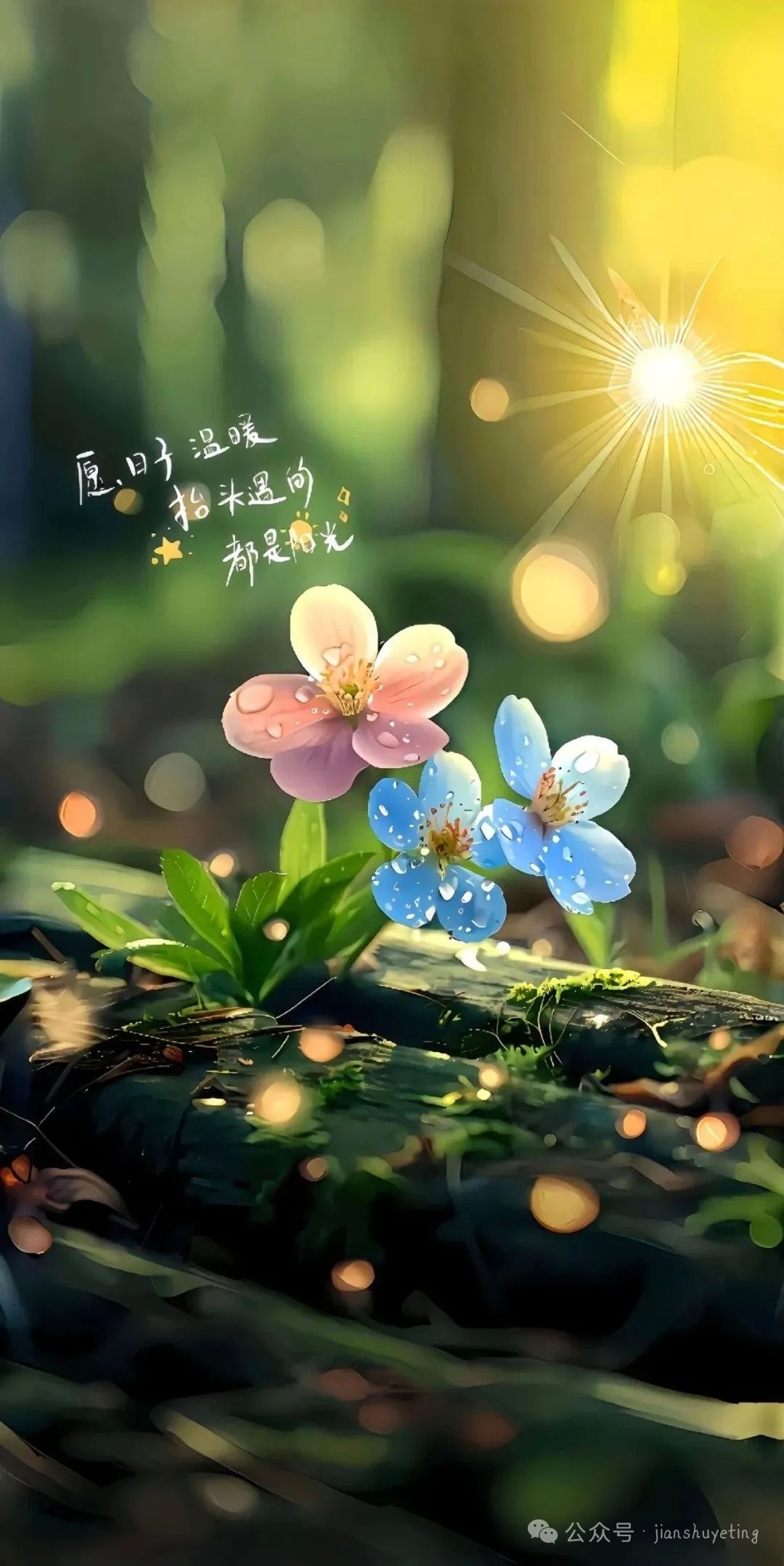 图片附件