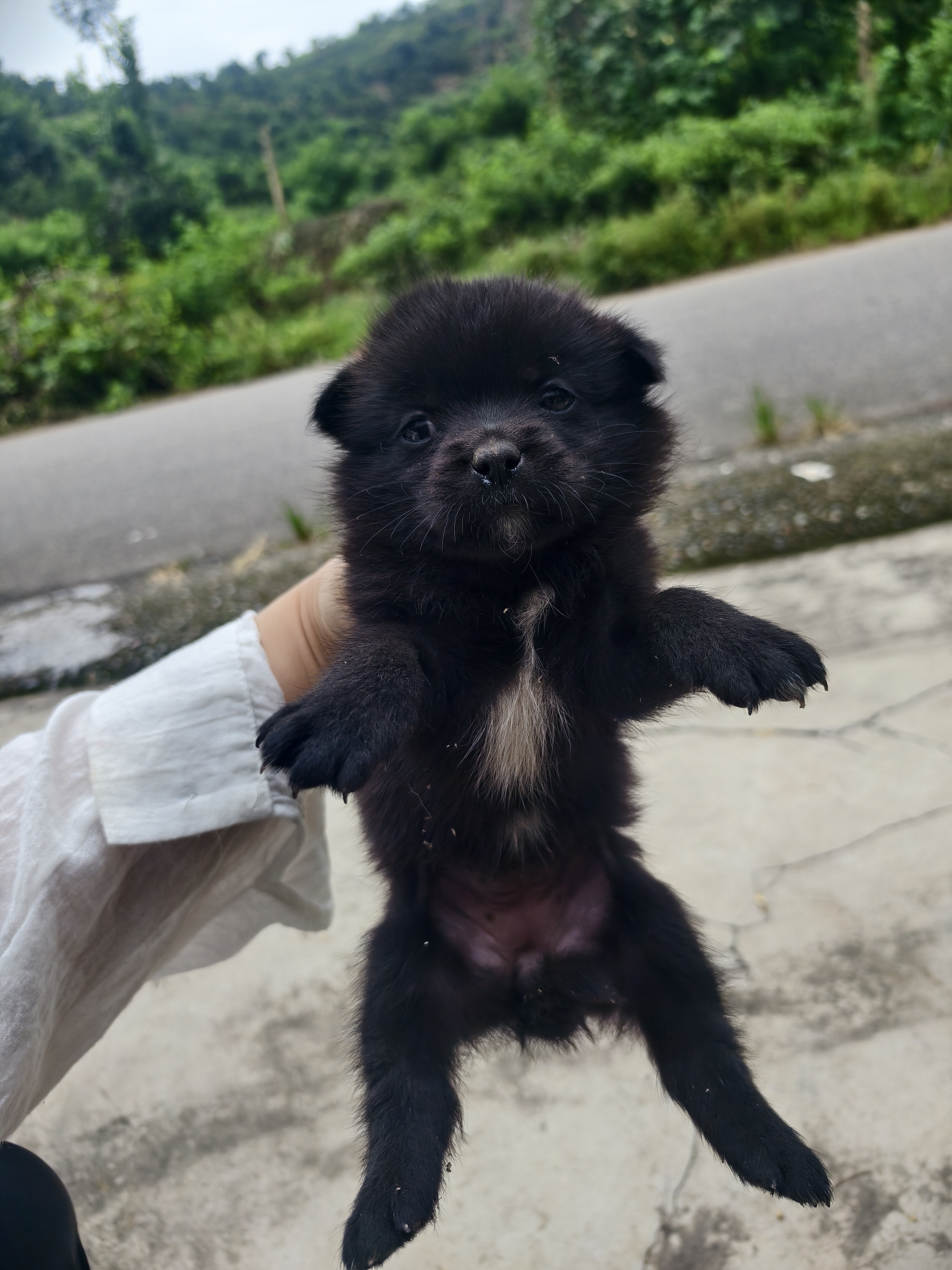 图片附件