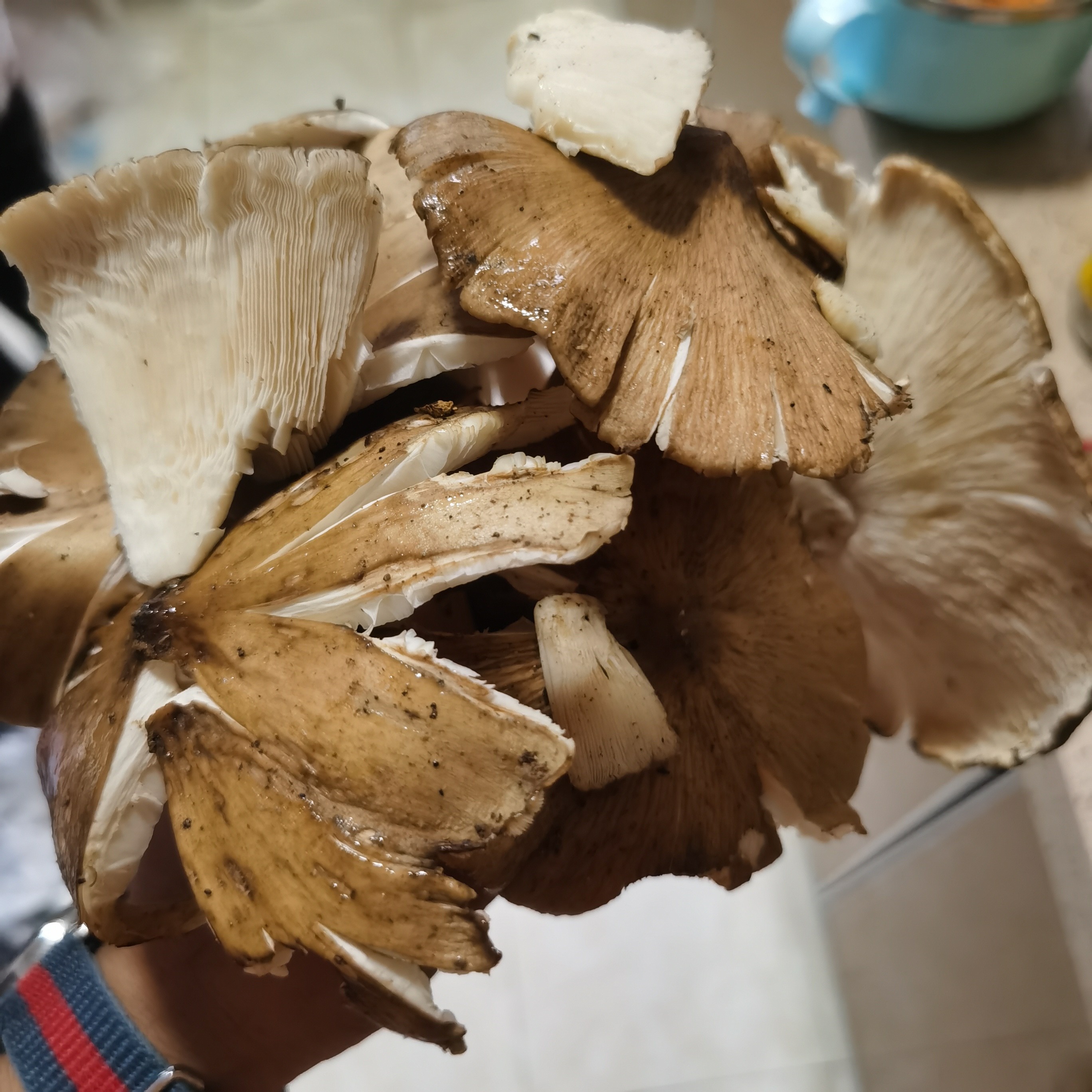 图片附件