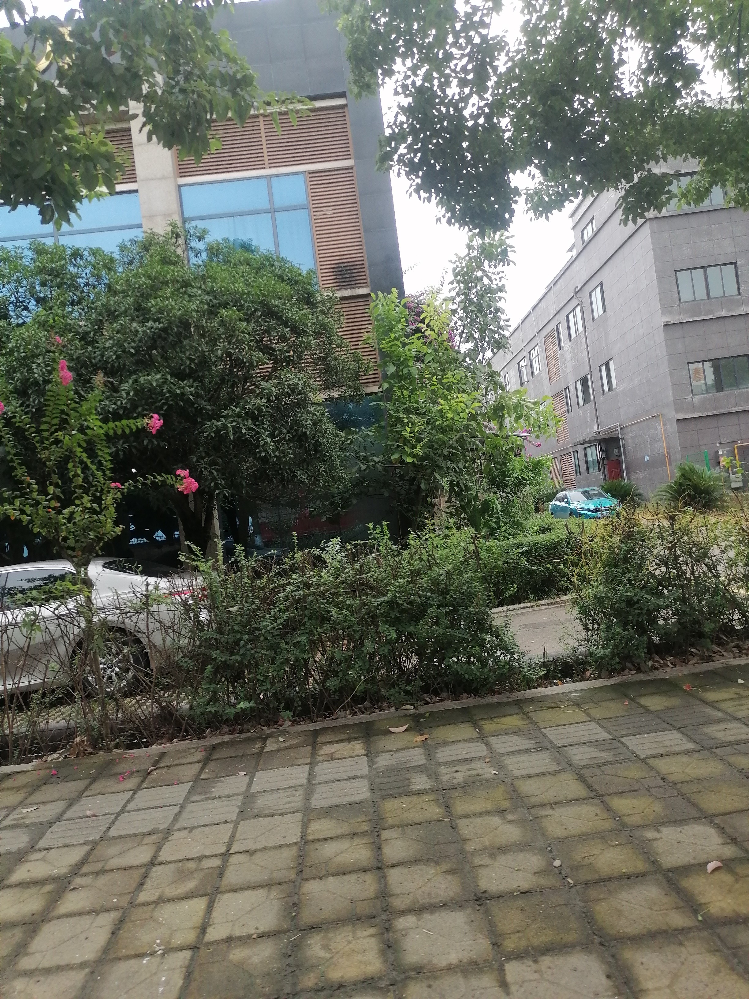 图片附件