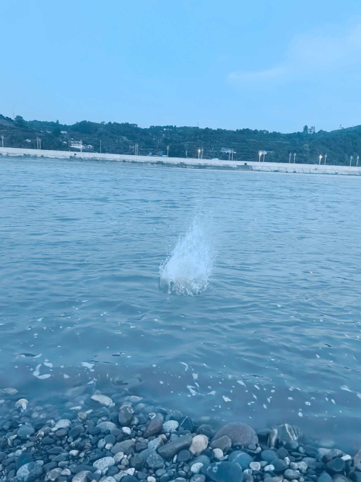 图片附件