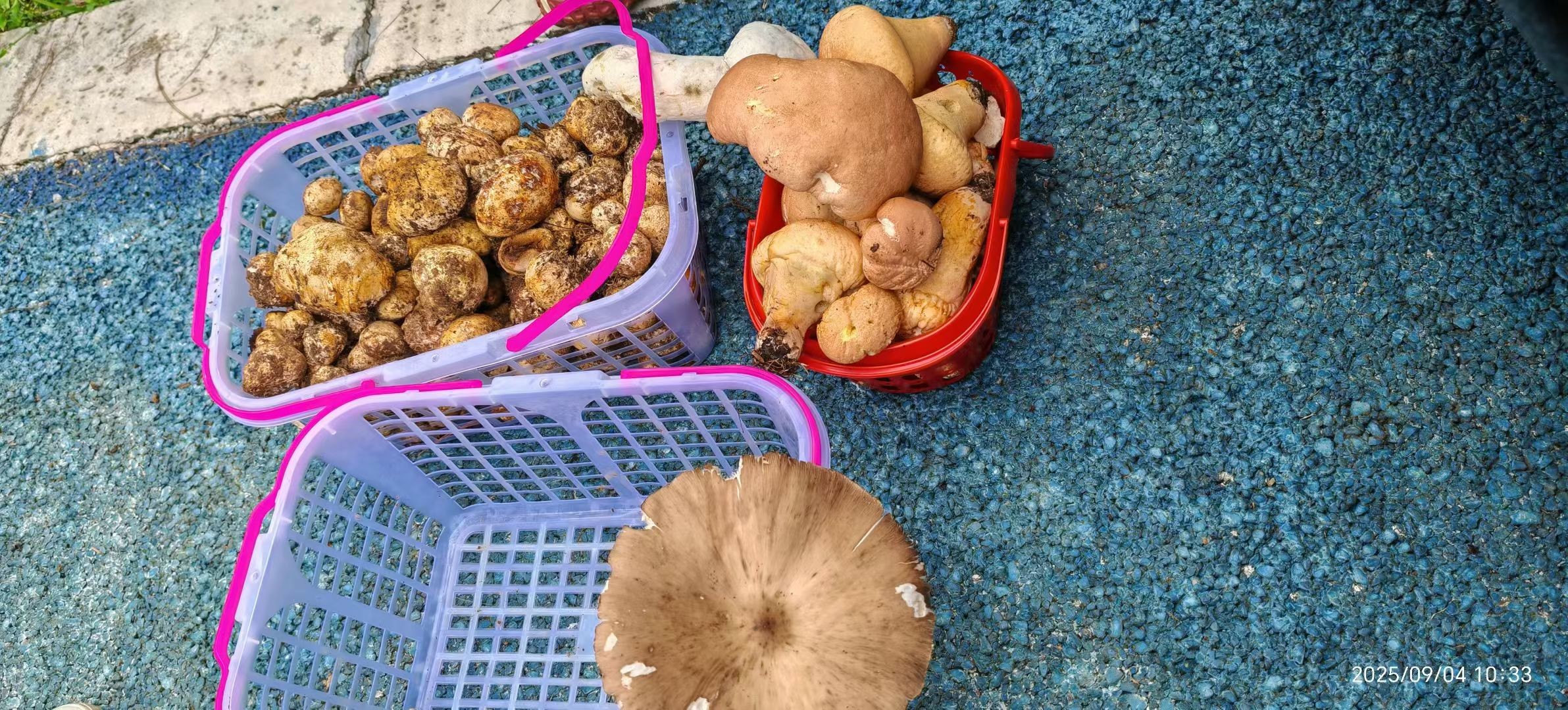 图片附件