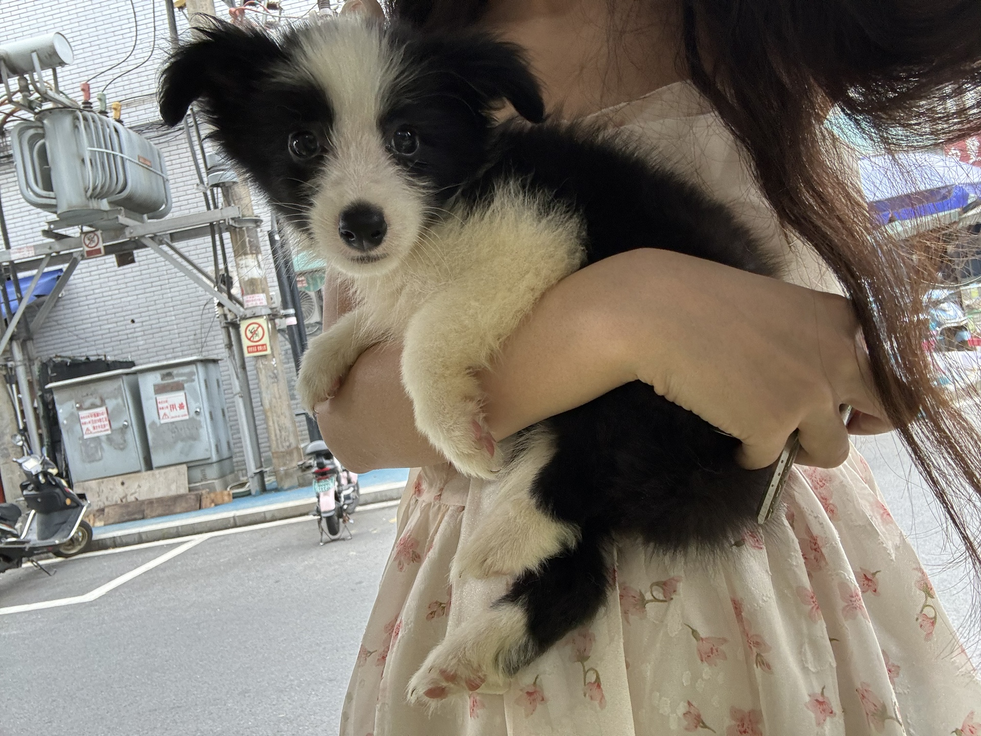 图片附件