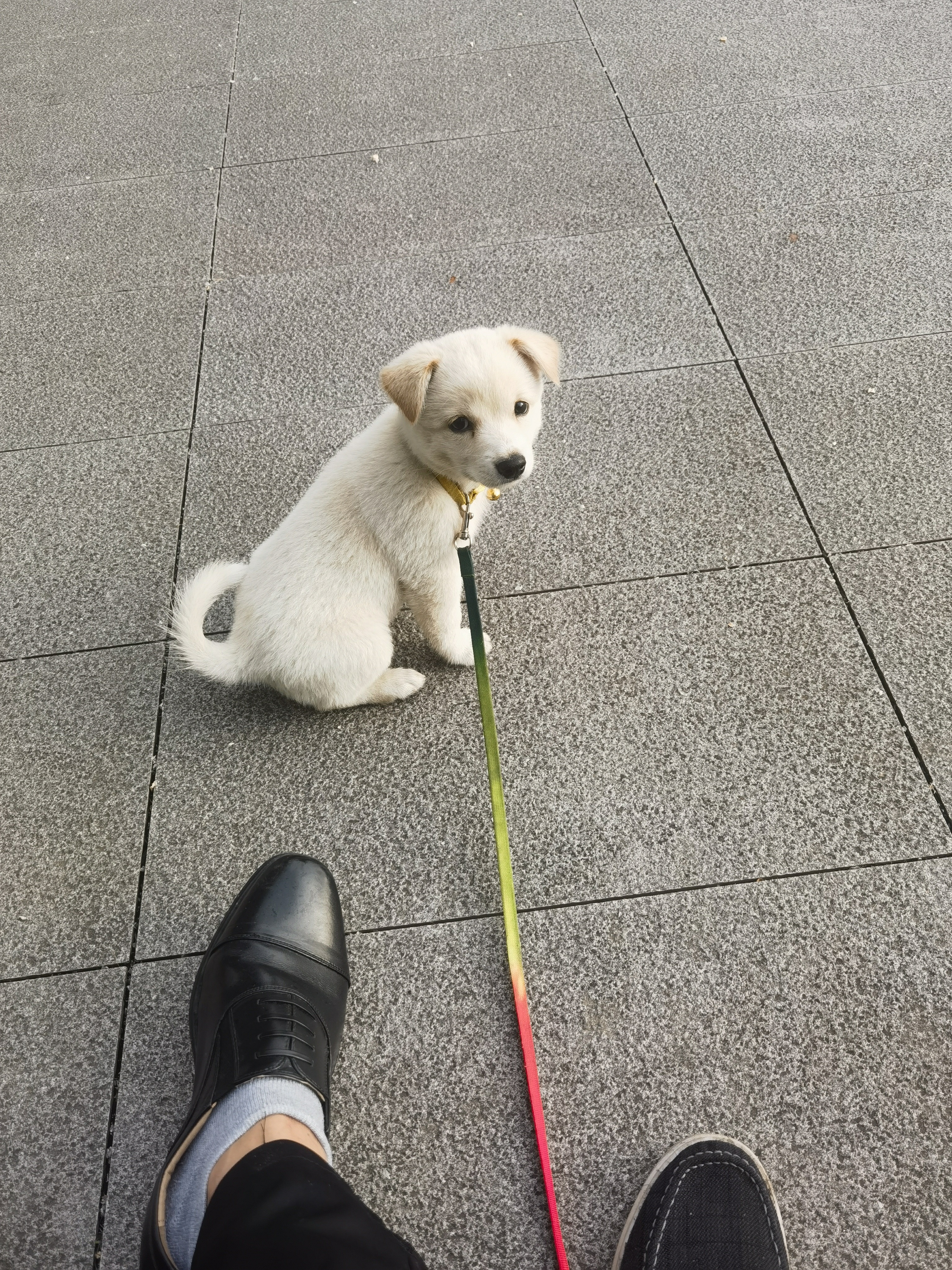 图片附件