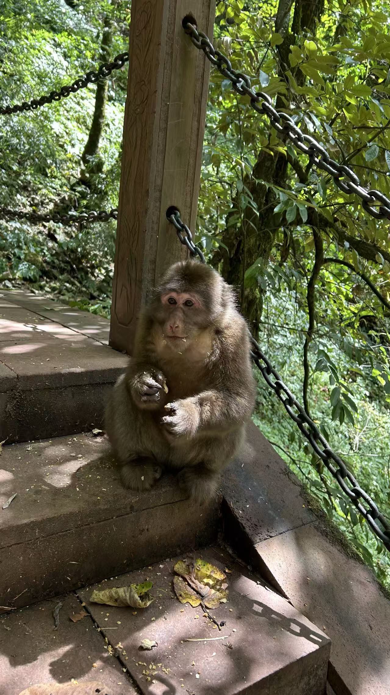 图片附件