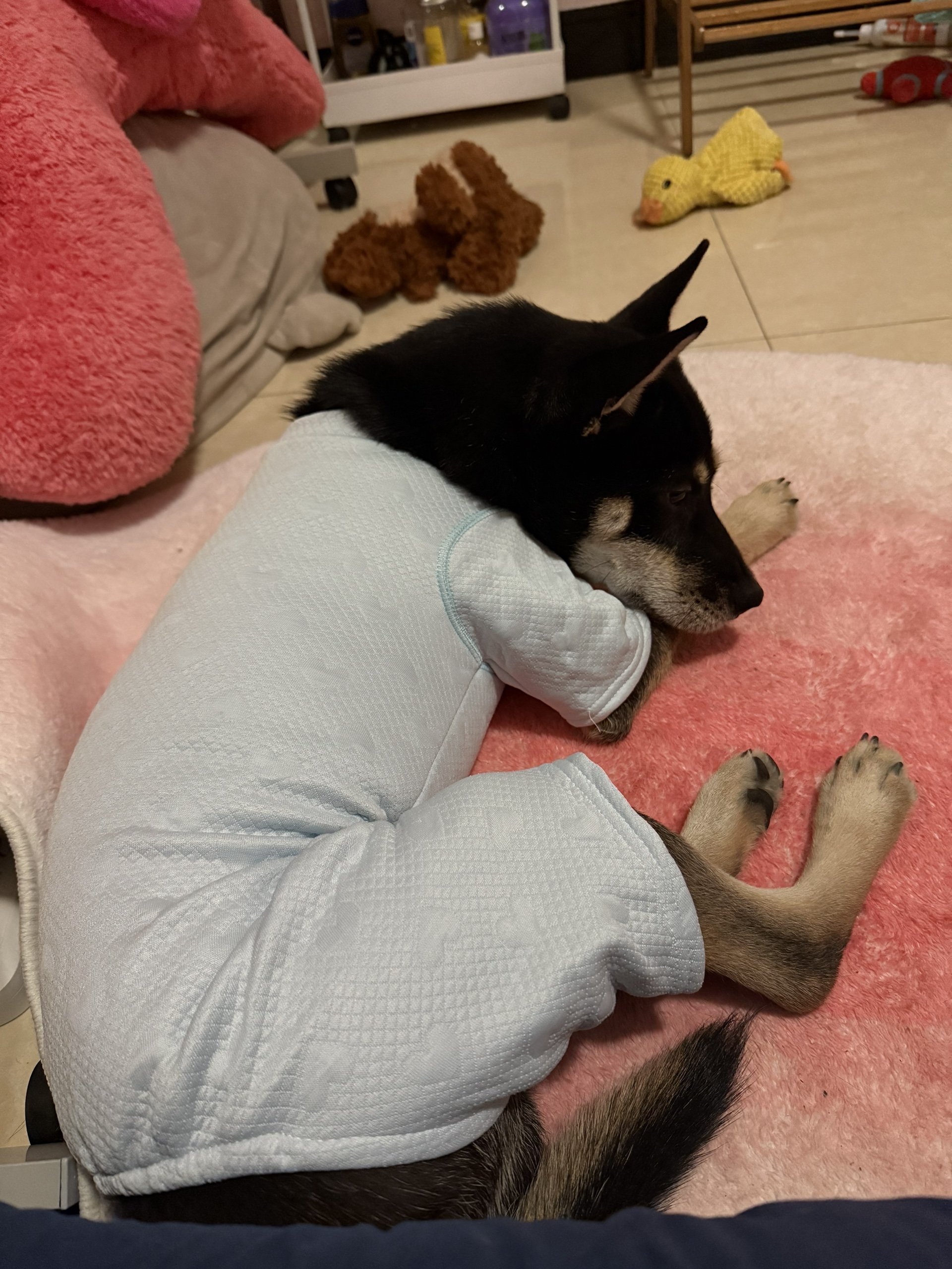 图片附件