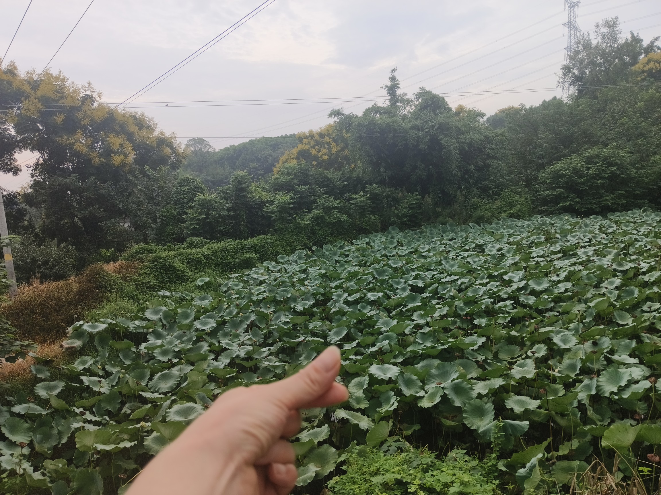 图片附件