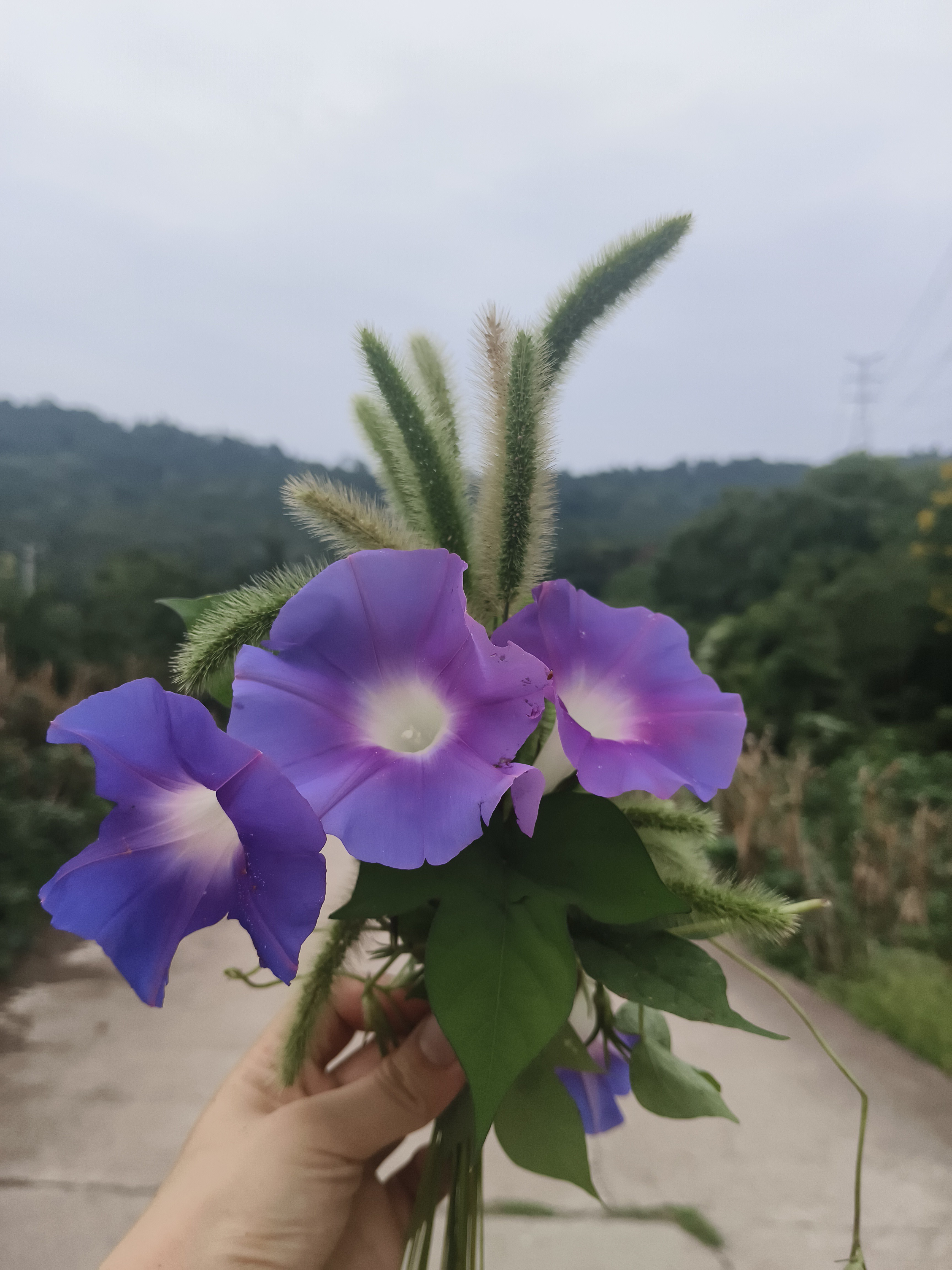 图片附件