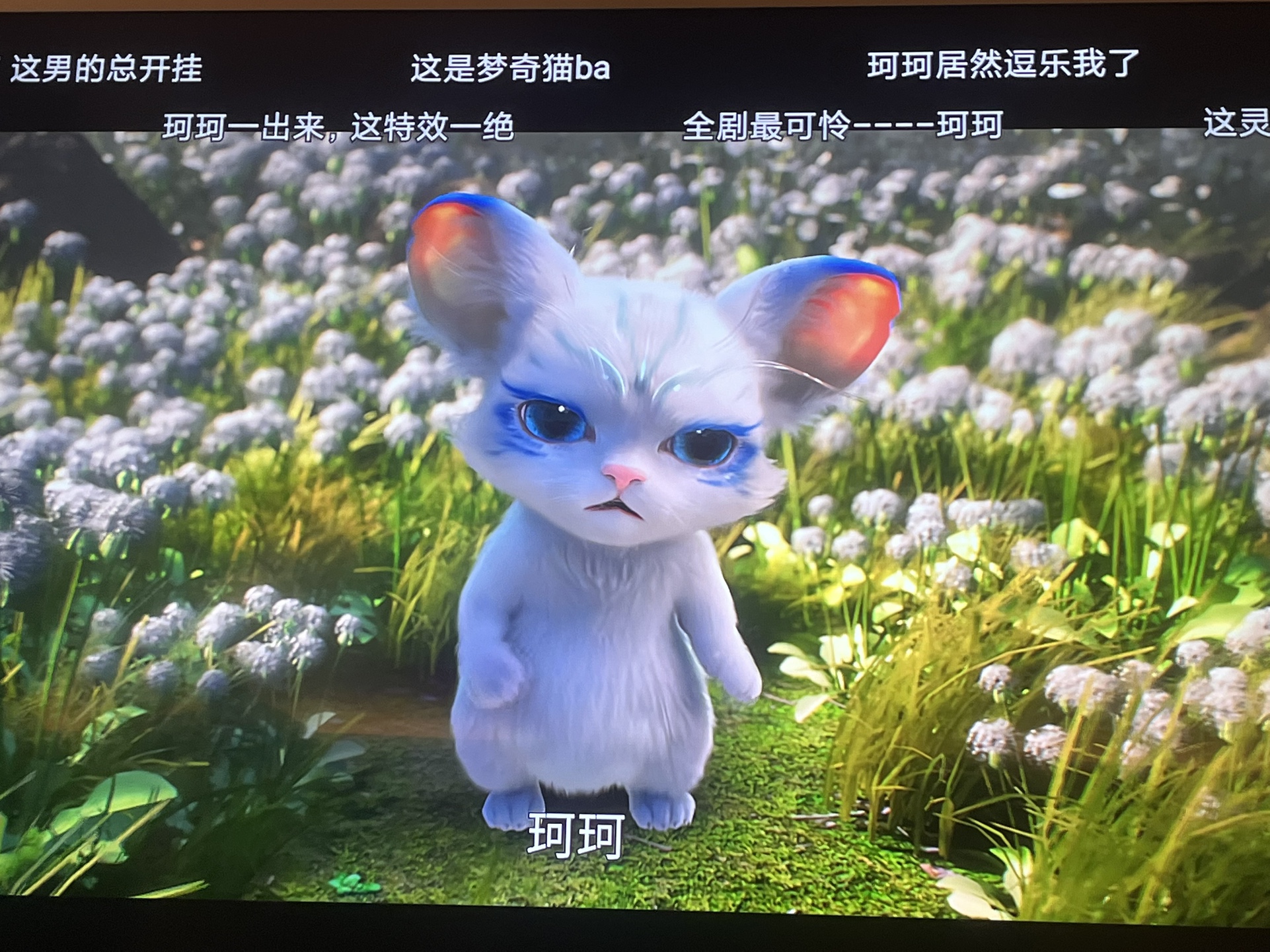图片附件