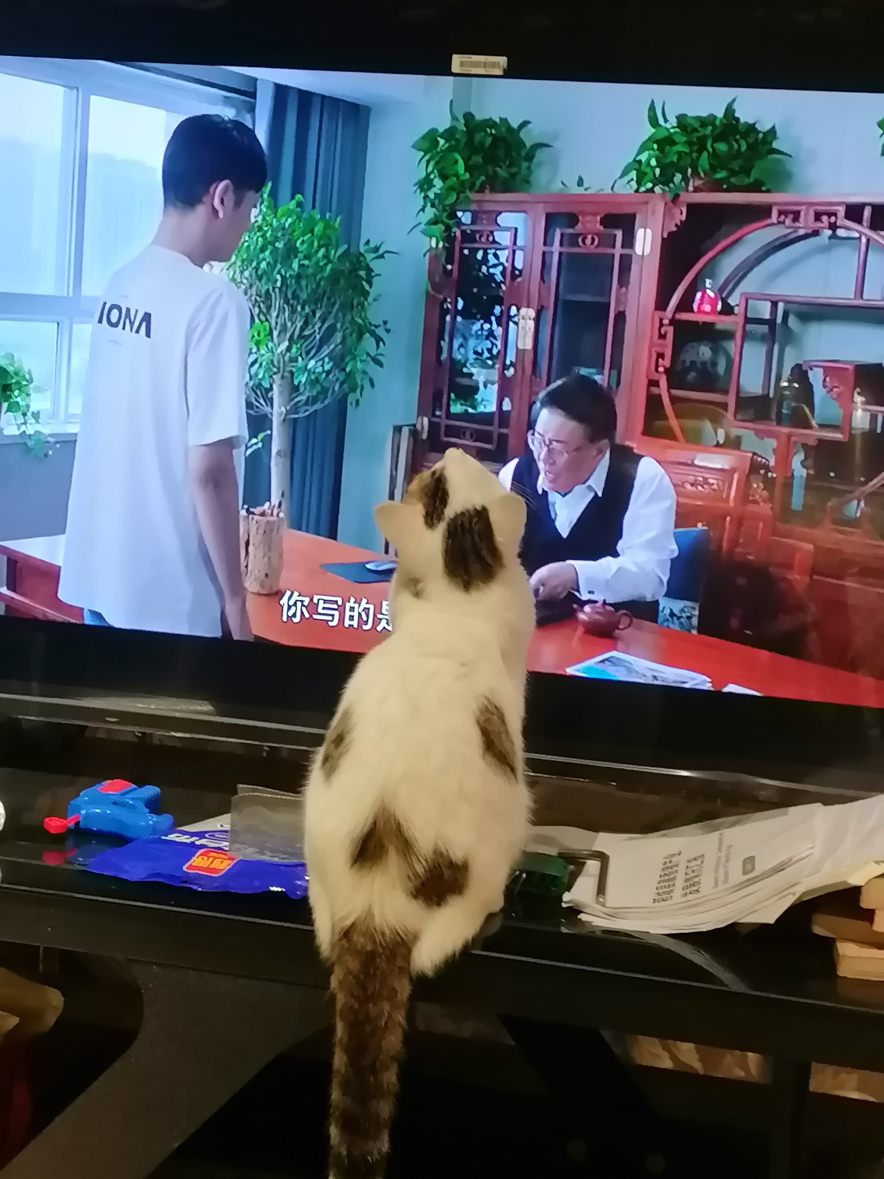 图片附件