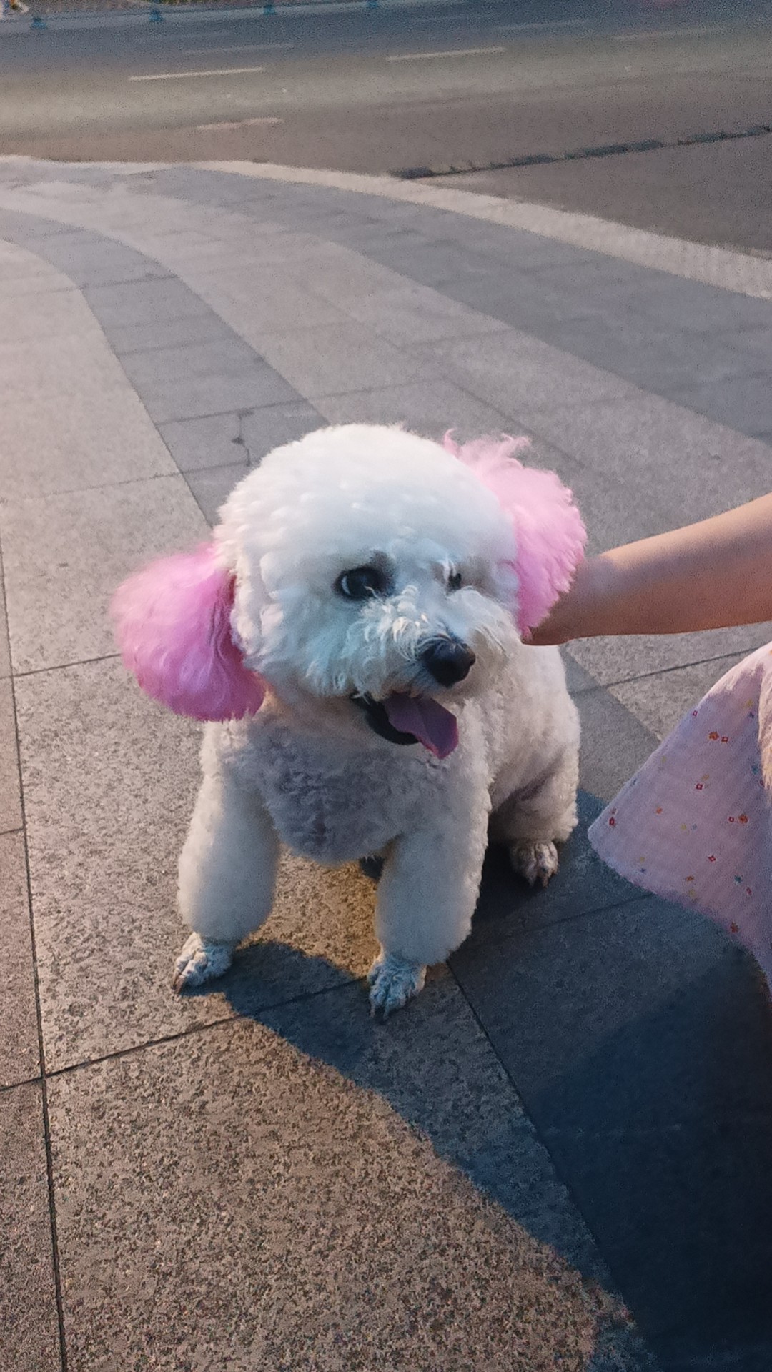 图片附件