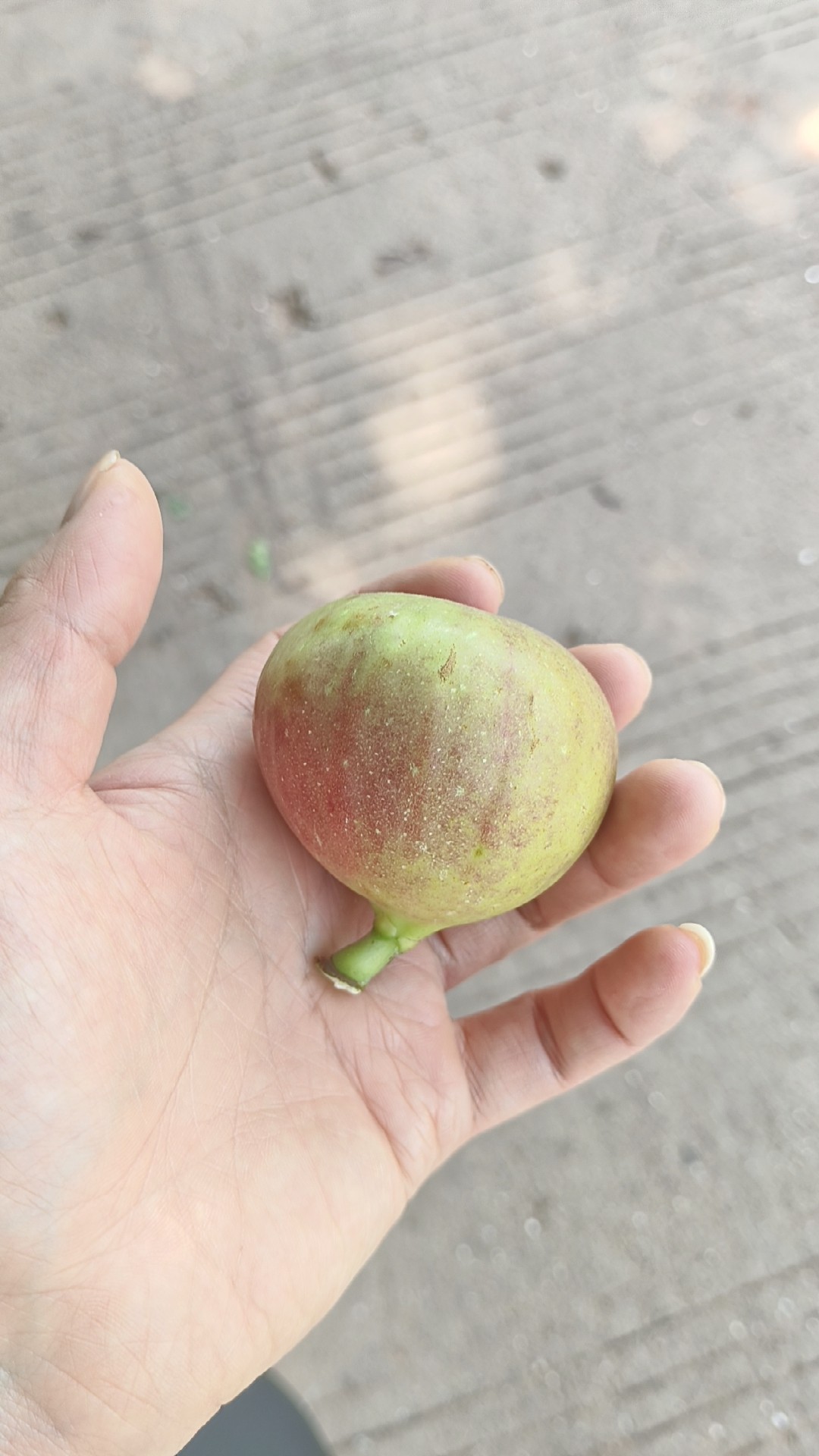 图片附件