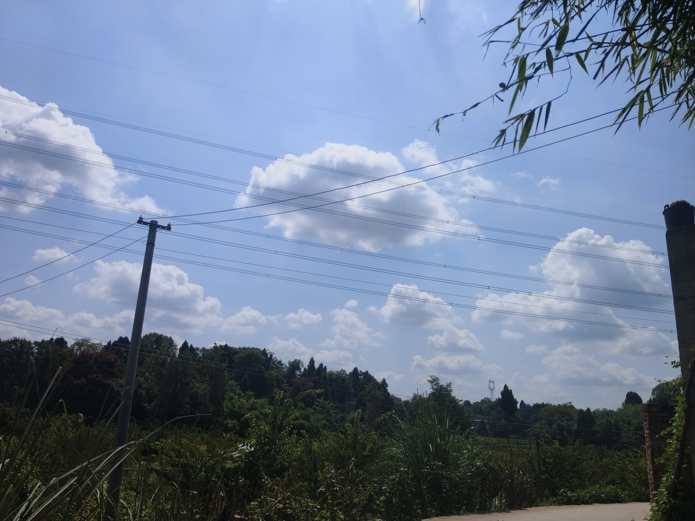 图片附件