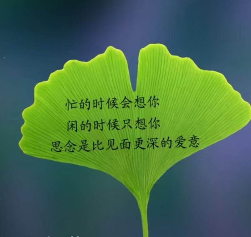 图片附件